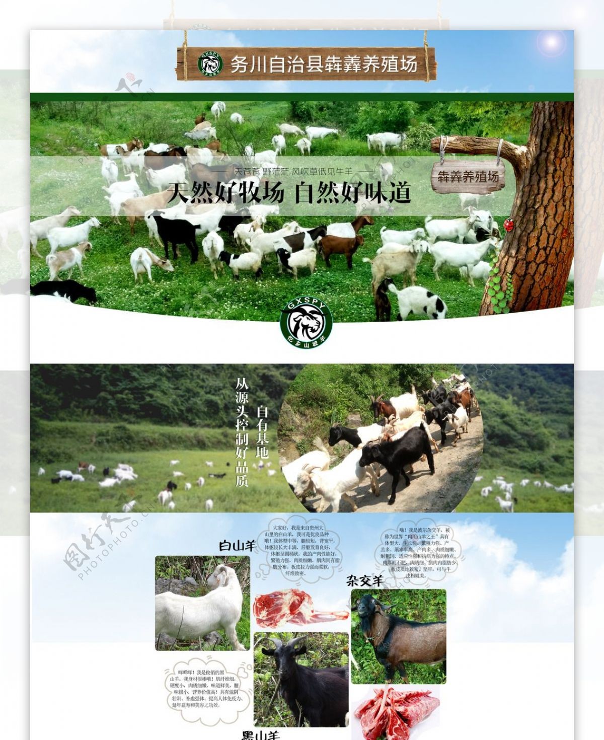 原生态自然养殖场牧场牛羊首页