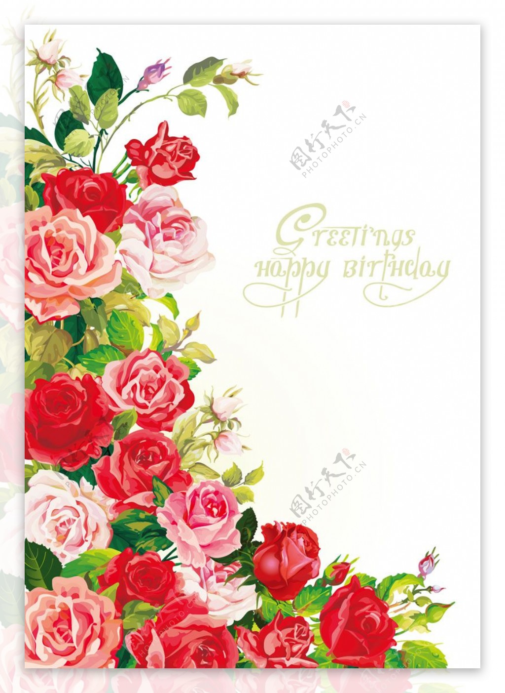玫瑰花朵繪畫生日生日