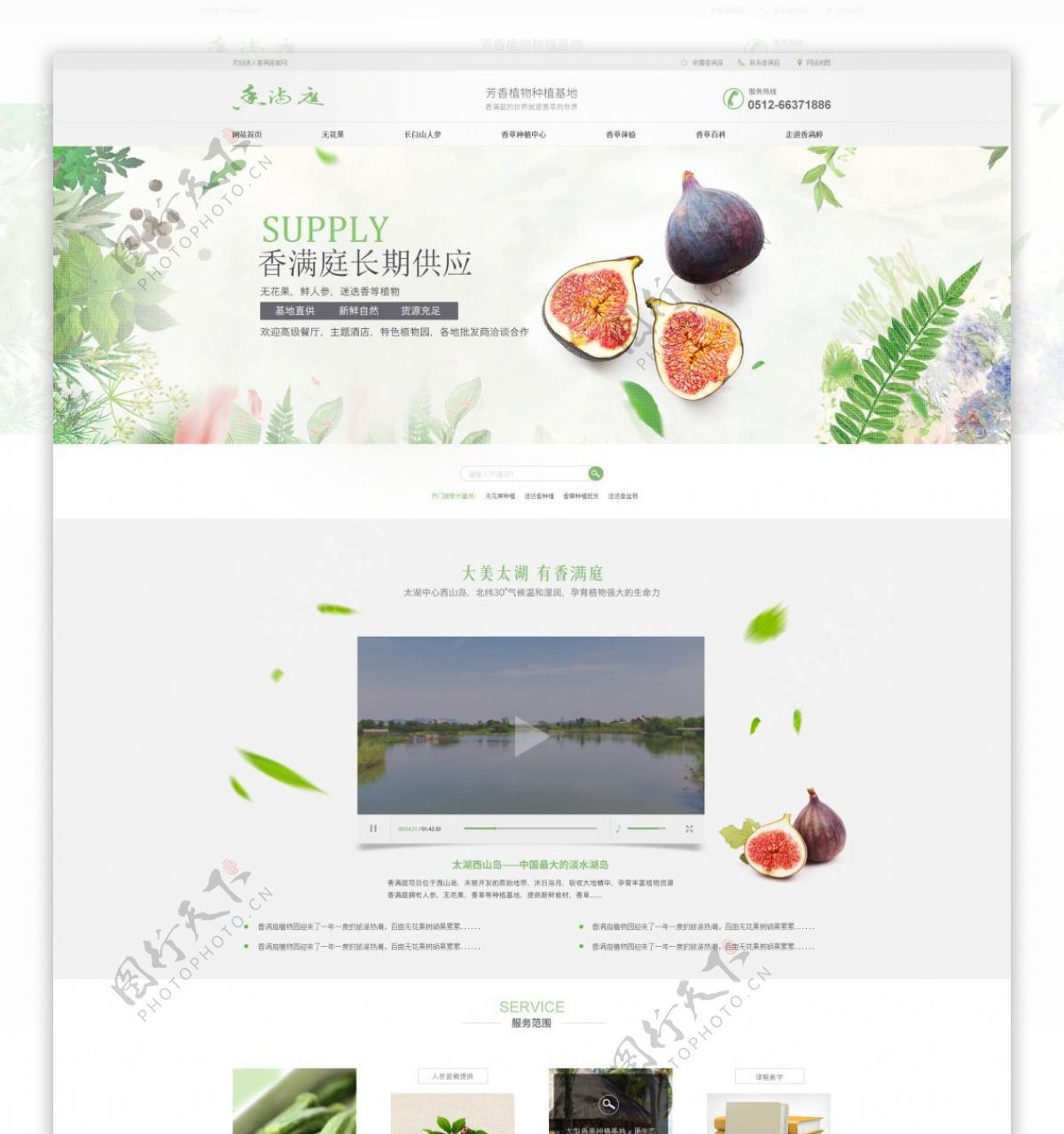 小清新简约扁平水果食材企业网站