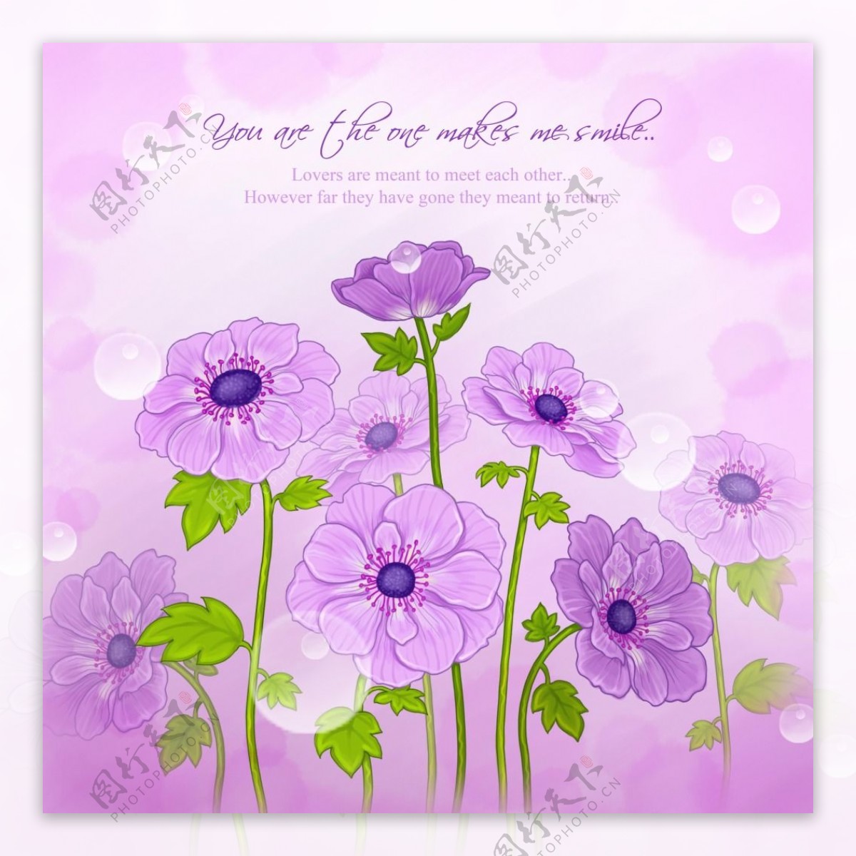 紫色浪漫的花朵