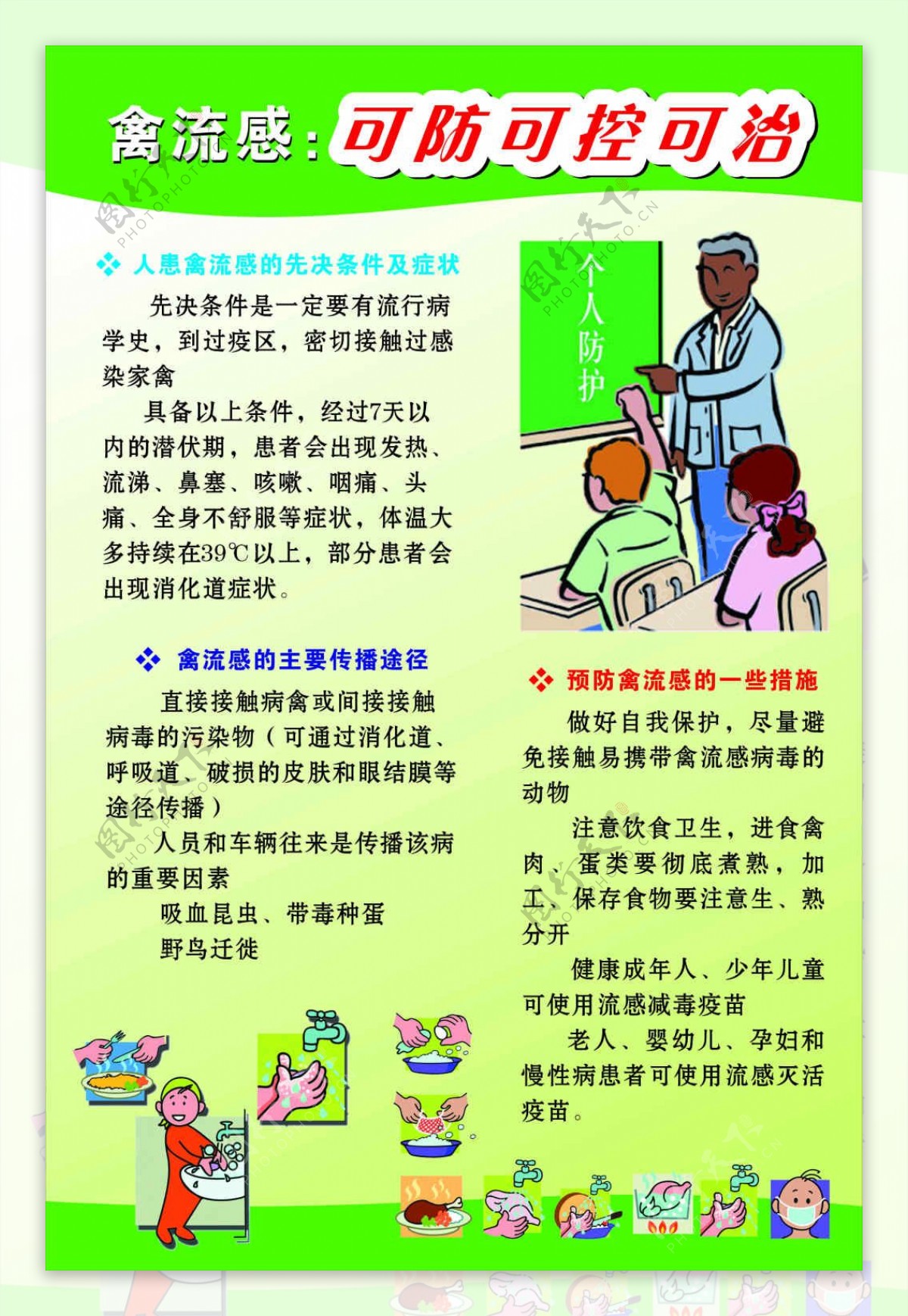 预防禽流感宣传海报