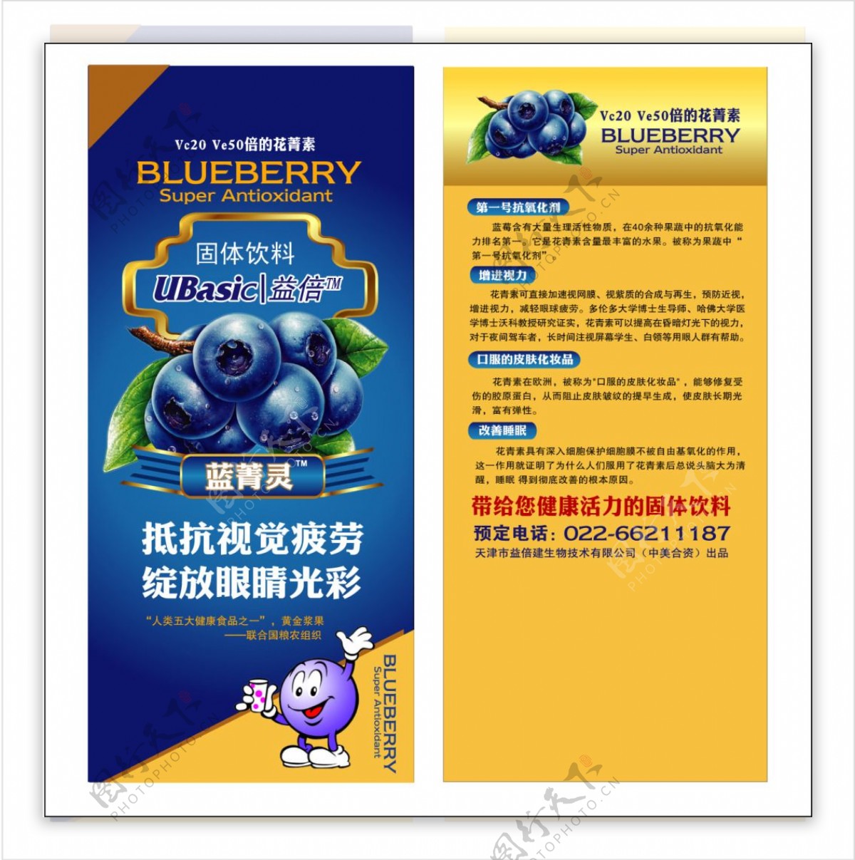 蓝莓单页