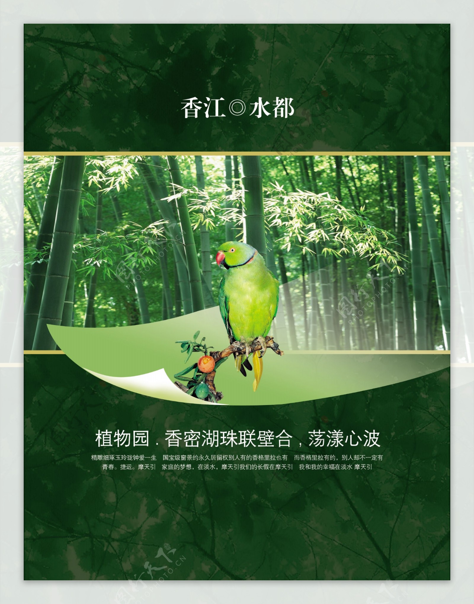 香江水都绿色生态广告PSD素材