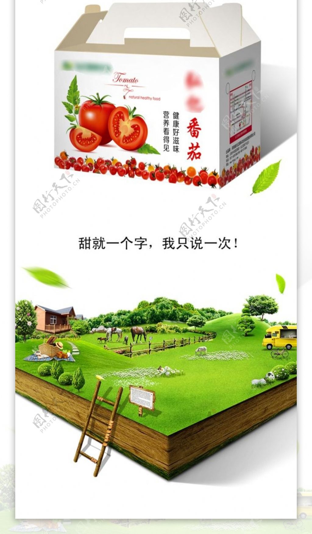 番茄淘宝电商美食详情页