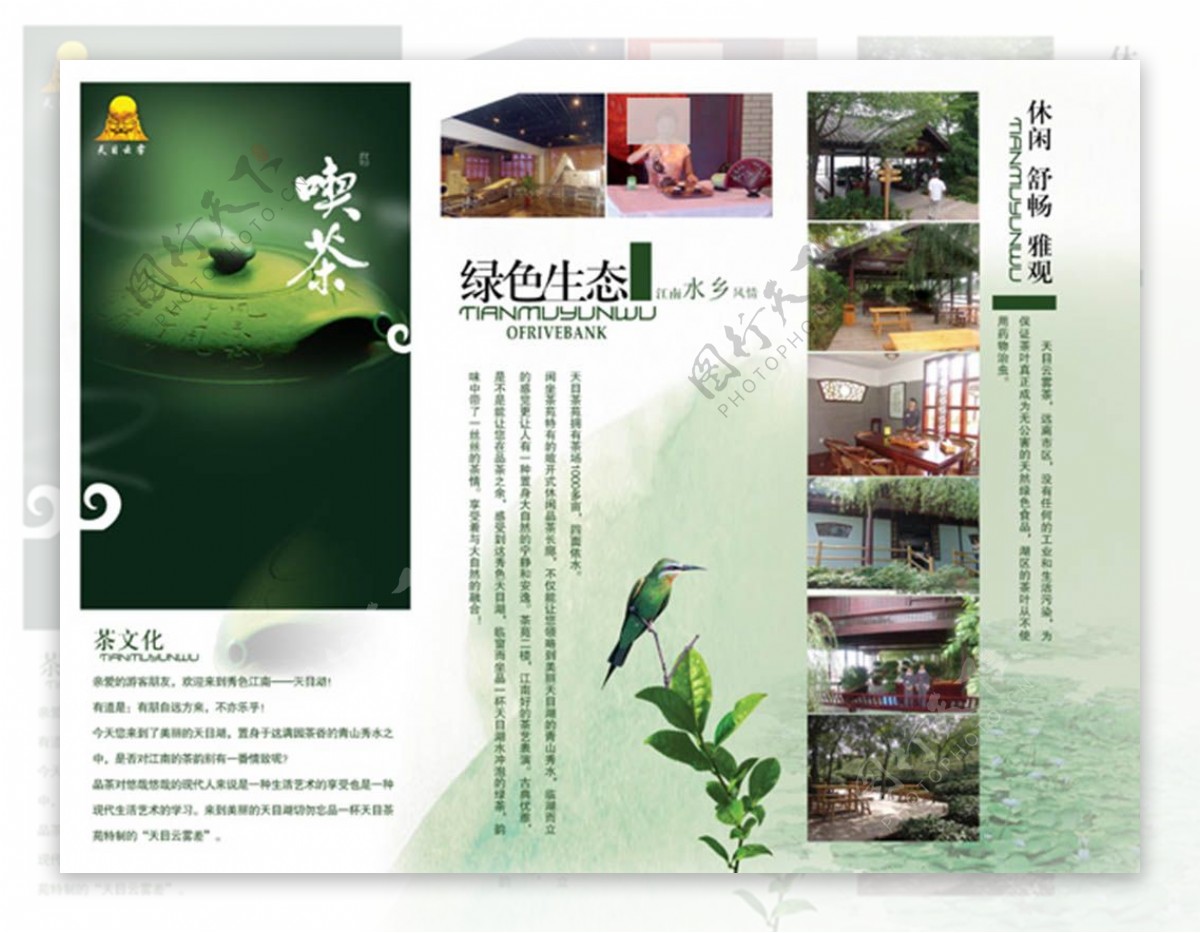 中国茶彩页折页设计
