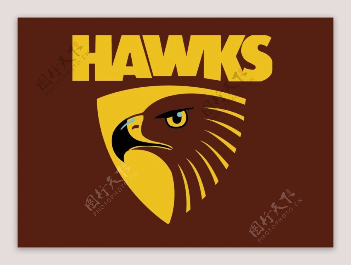 HAWKS老鹰头logo标志