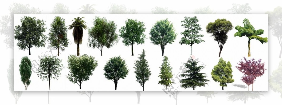 PSD格式园林及后期效果扣好的树木