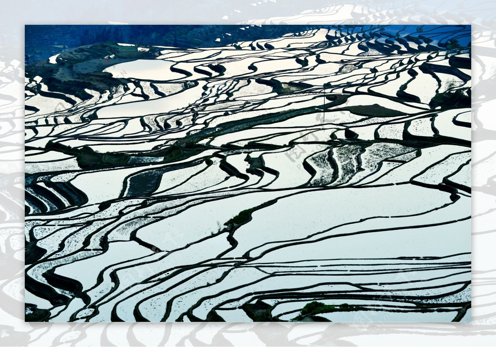 云南元阳梯田风景