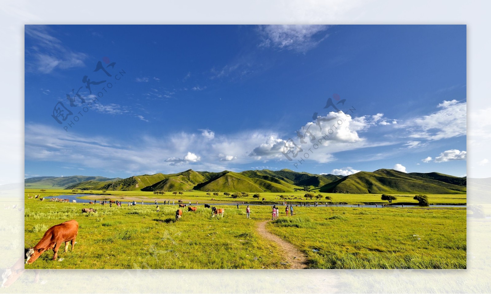 内蒙古科尔沁草原风景