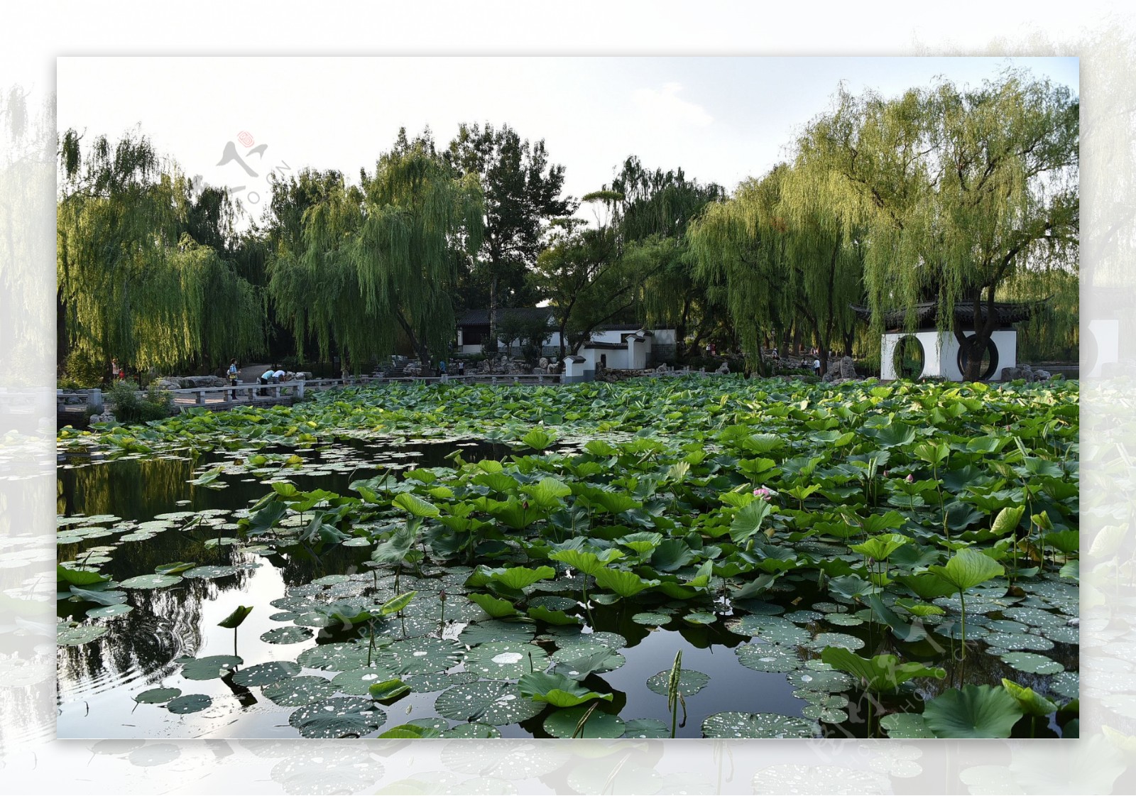 北京陶然亭风景