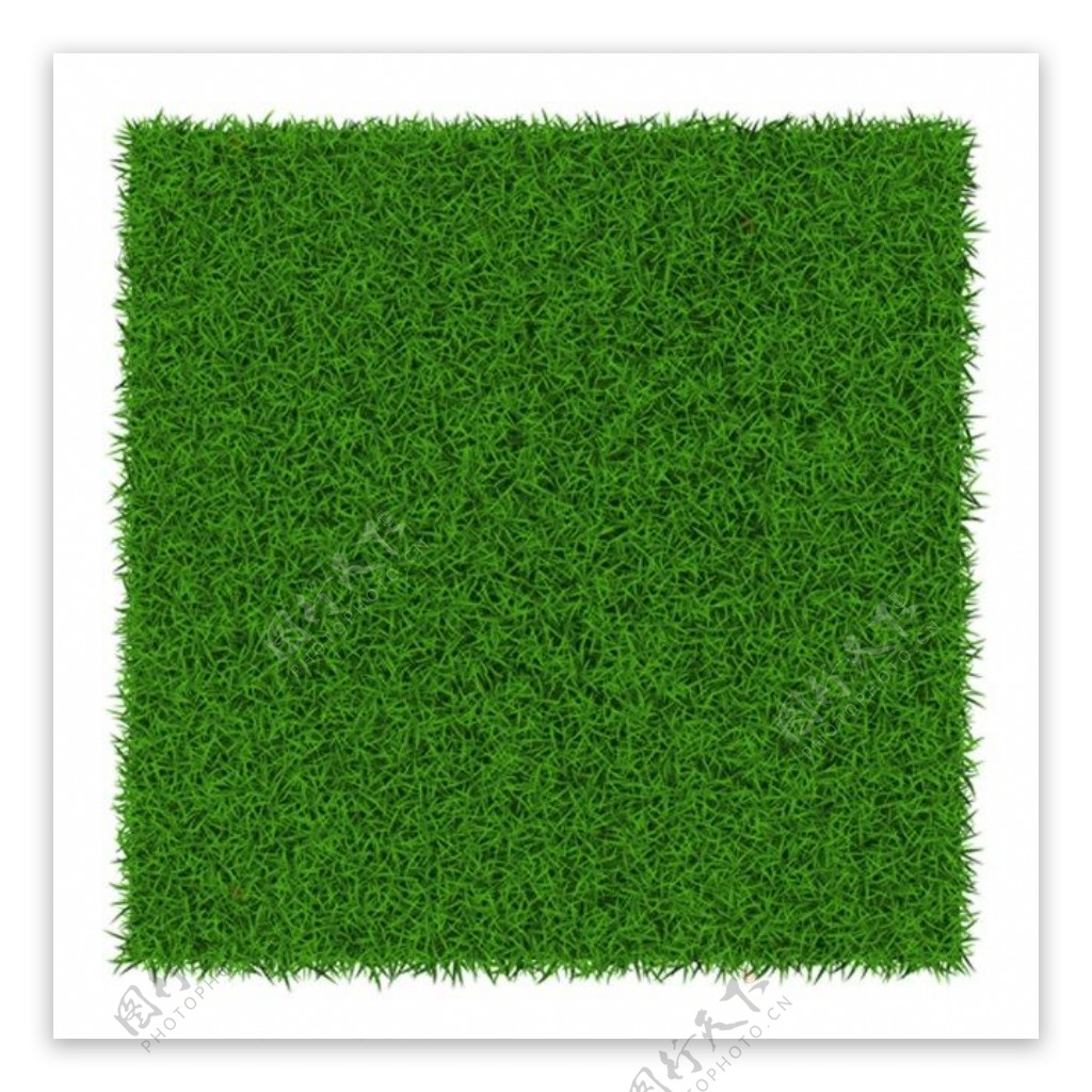 正方向形绿色草地背景图
