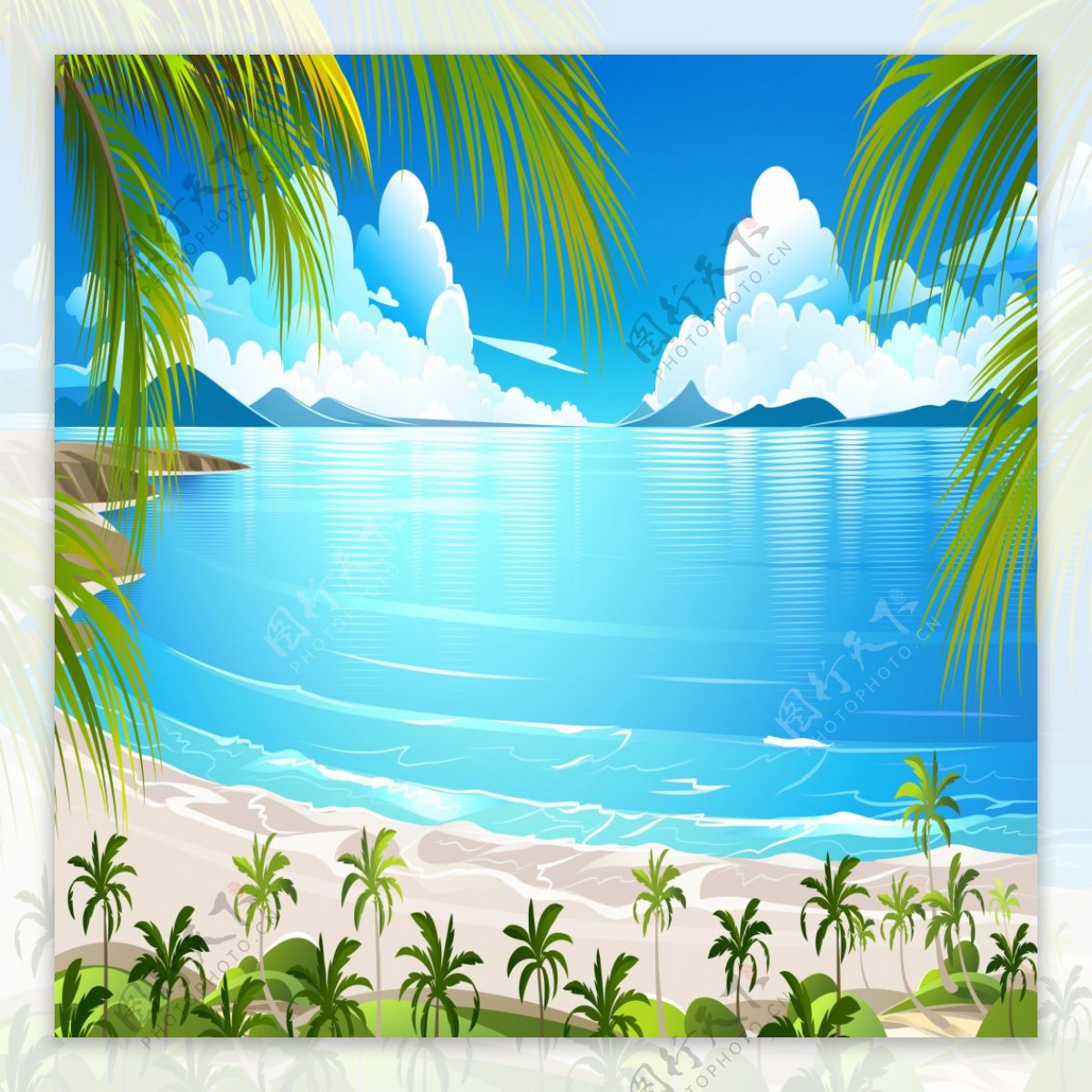 夏季海滩椰树背景