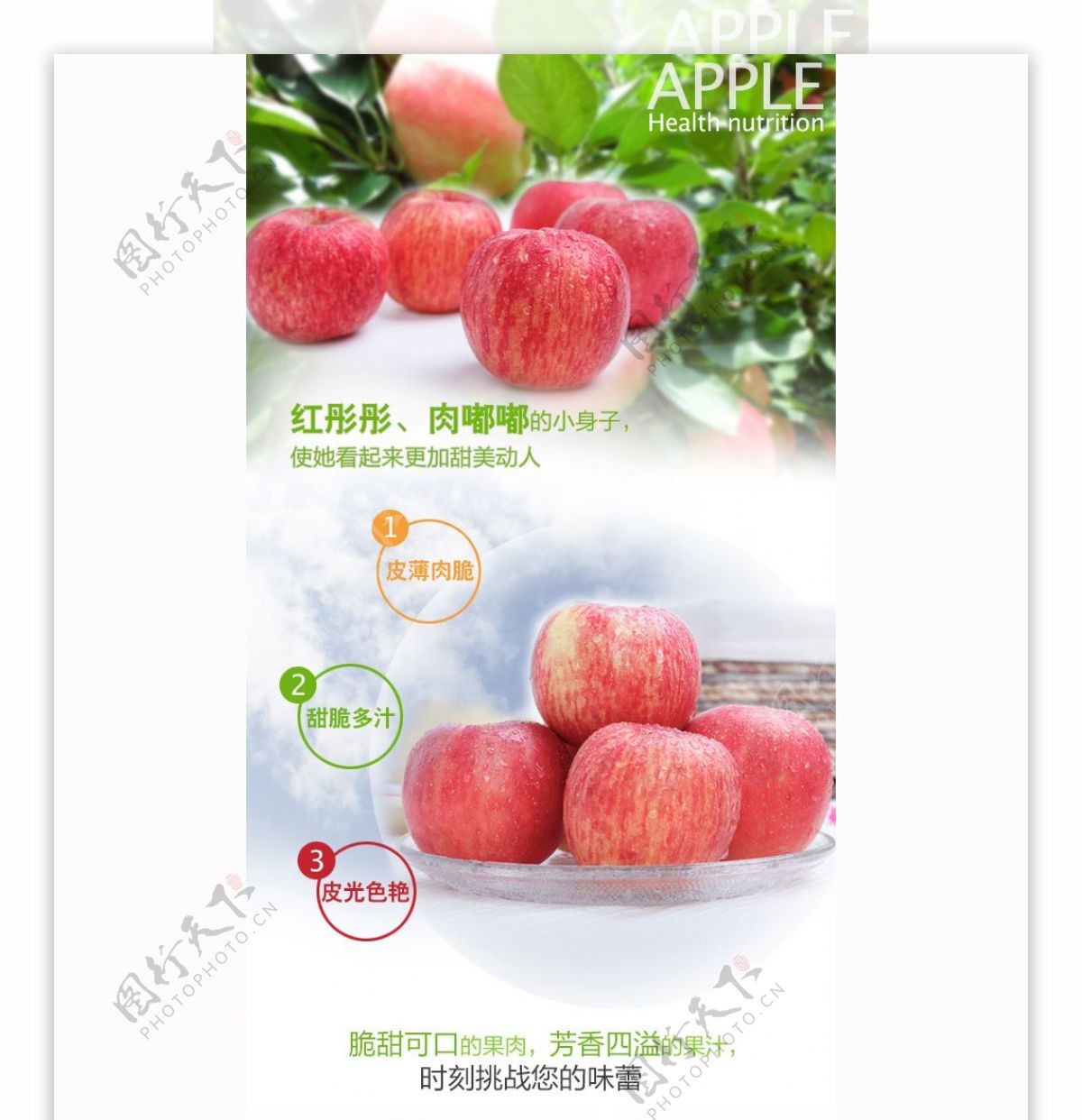 水果苹果的详情描述