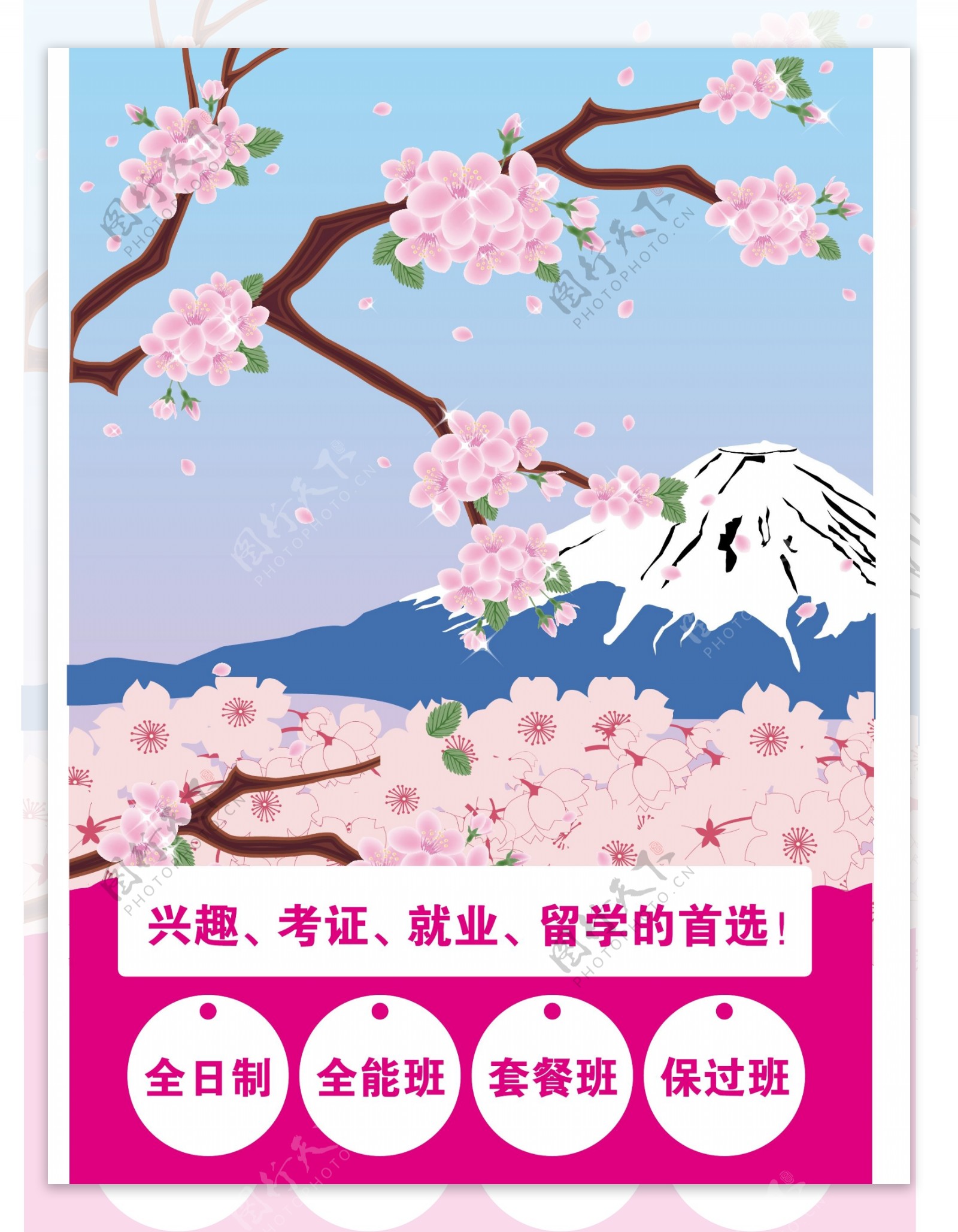 富士山日本樱花单片图片