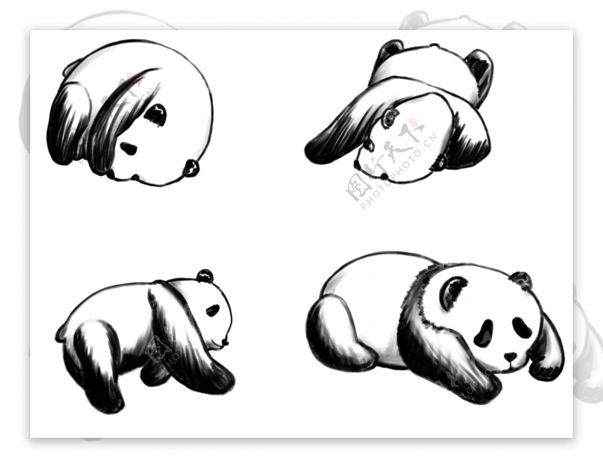 熊猫手绘