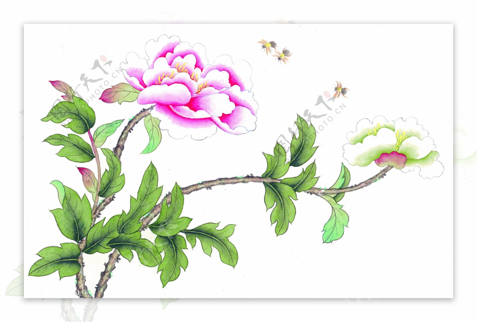 水墨花卉蜜蜂图片