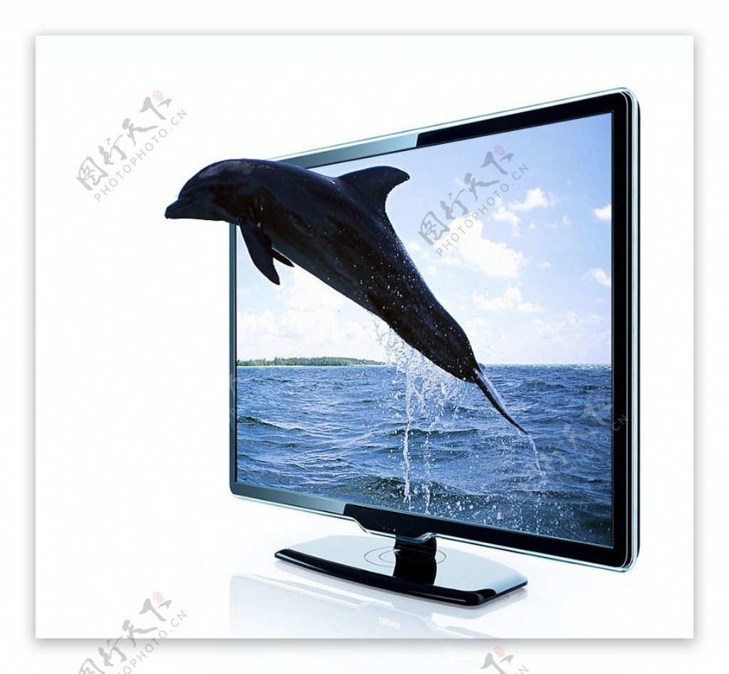 电视机海豚