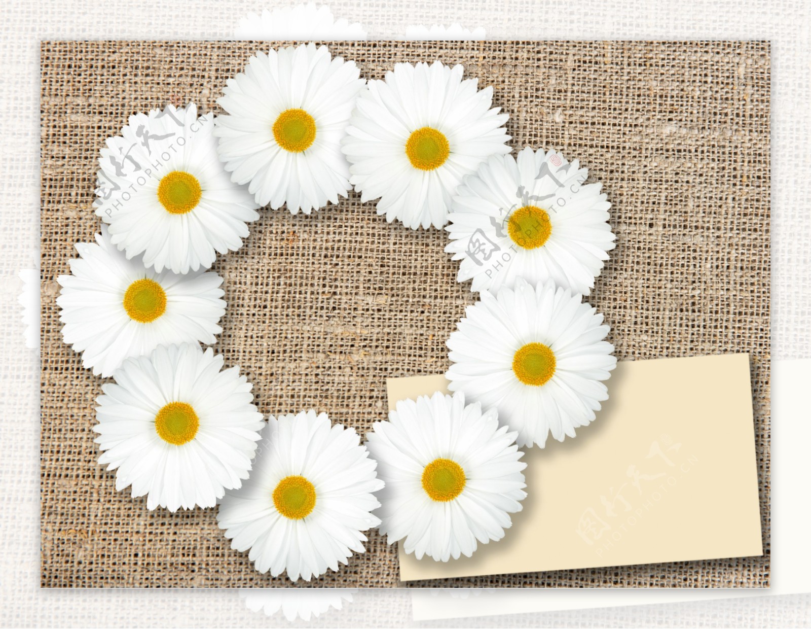 布面上的白色花朵和卡片图片