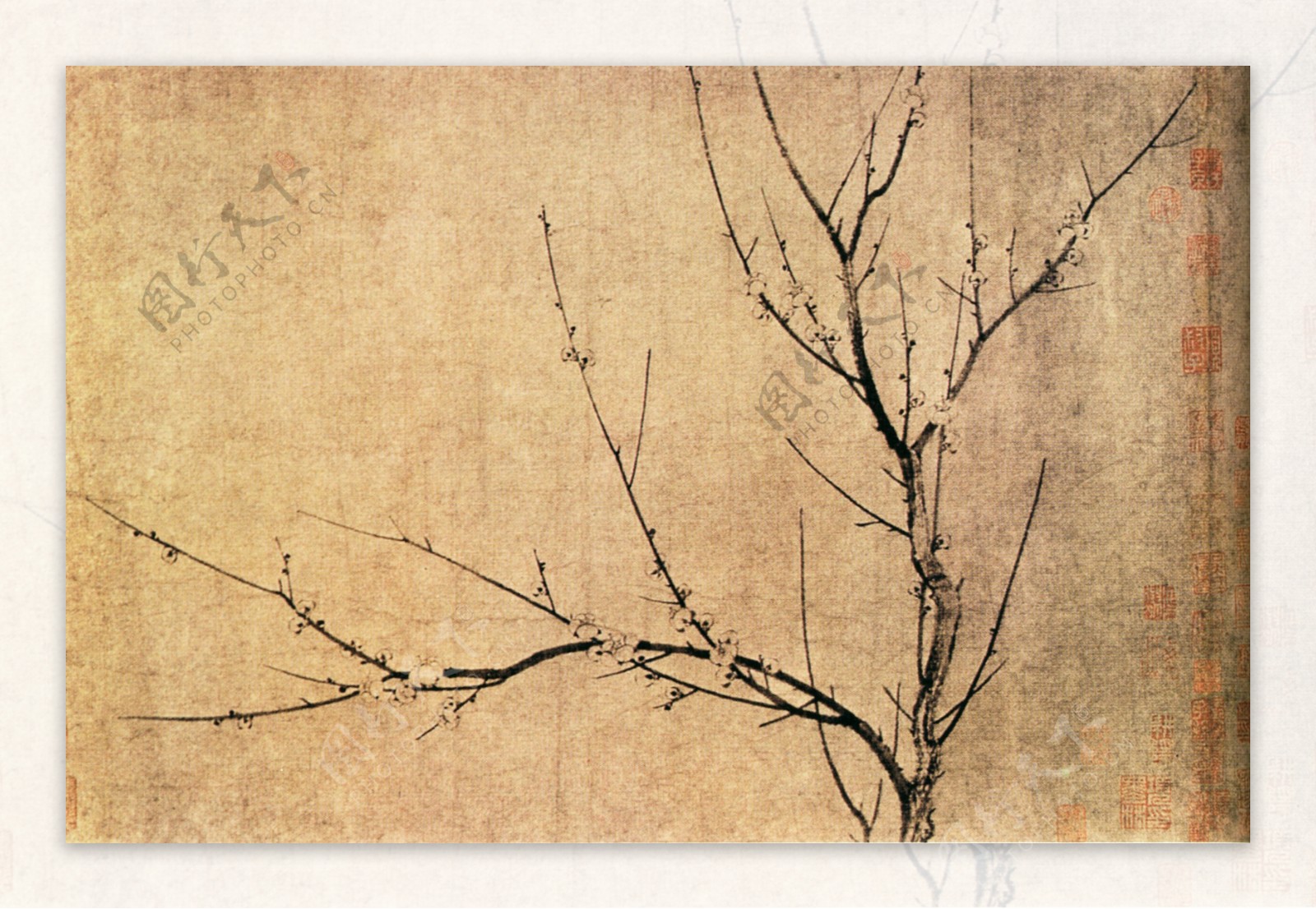 树枝花卉画图片