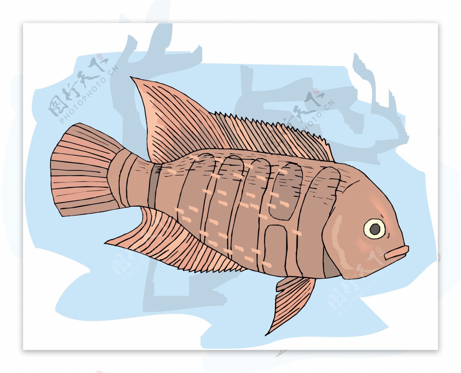 五彩小鱼水生动物矢量素材EPS格式0153