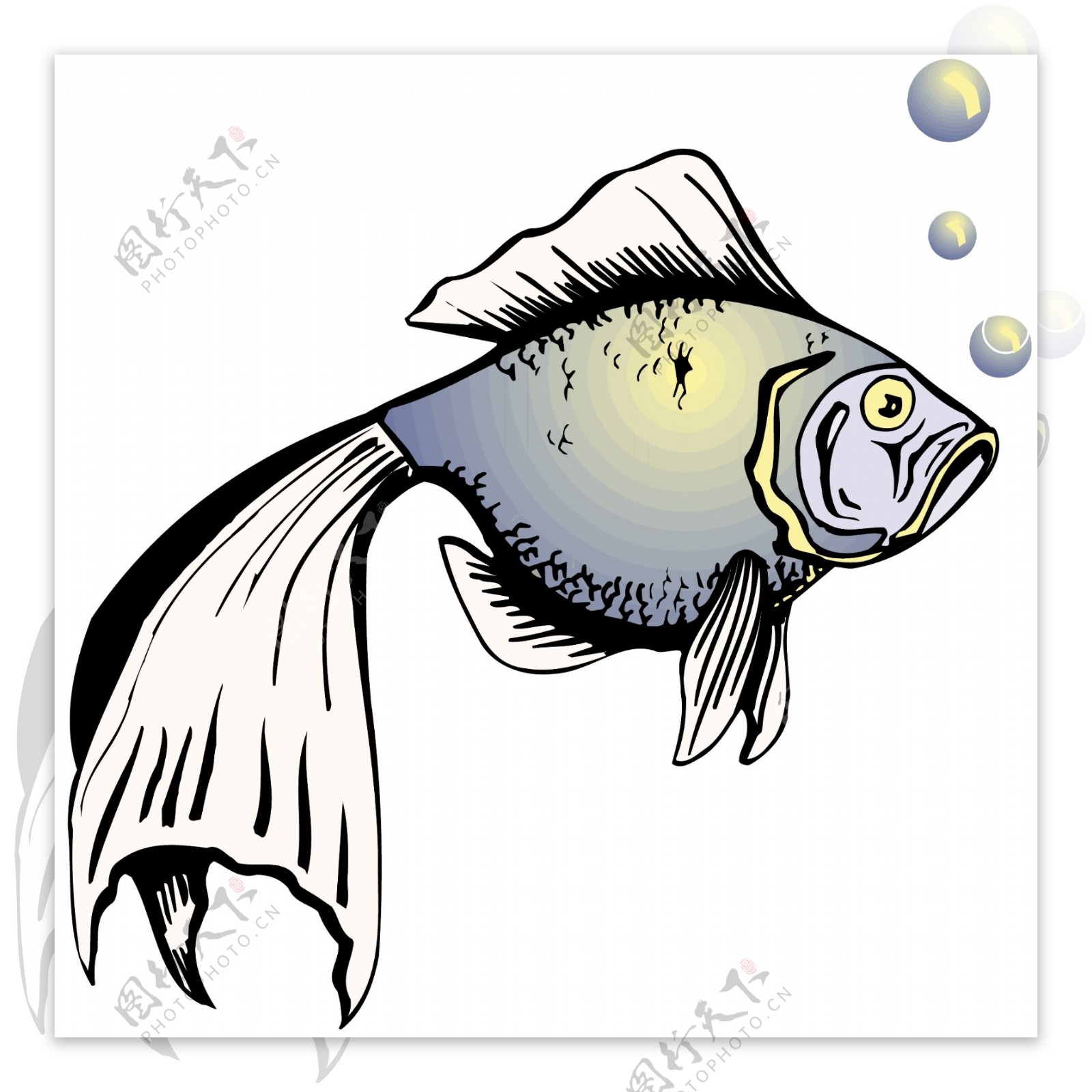 五彩小鱼水生动物矢量素材EPS格式0239