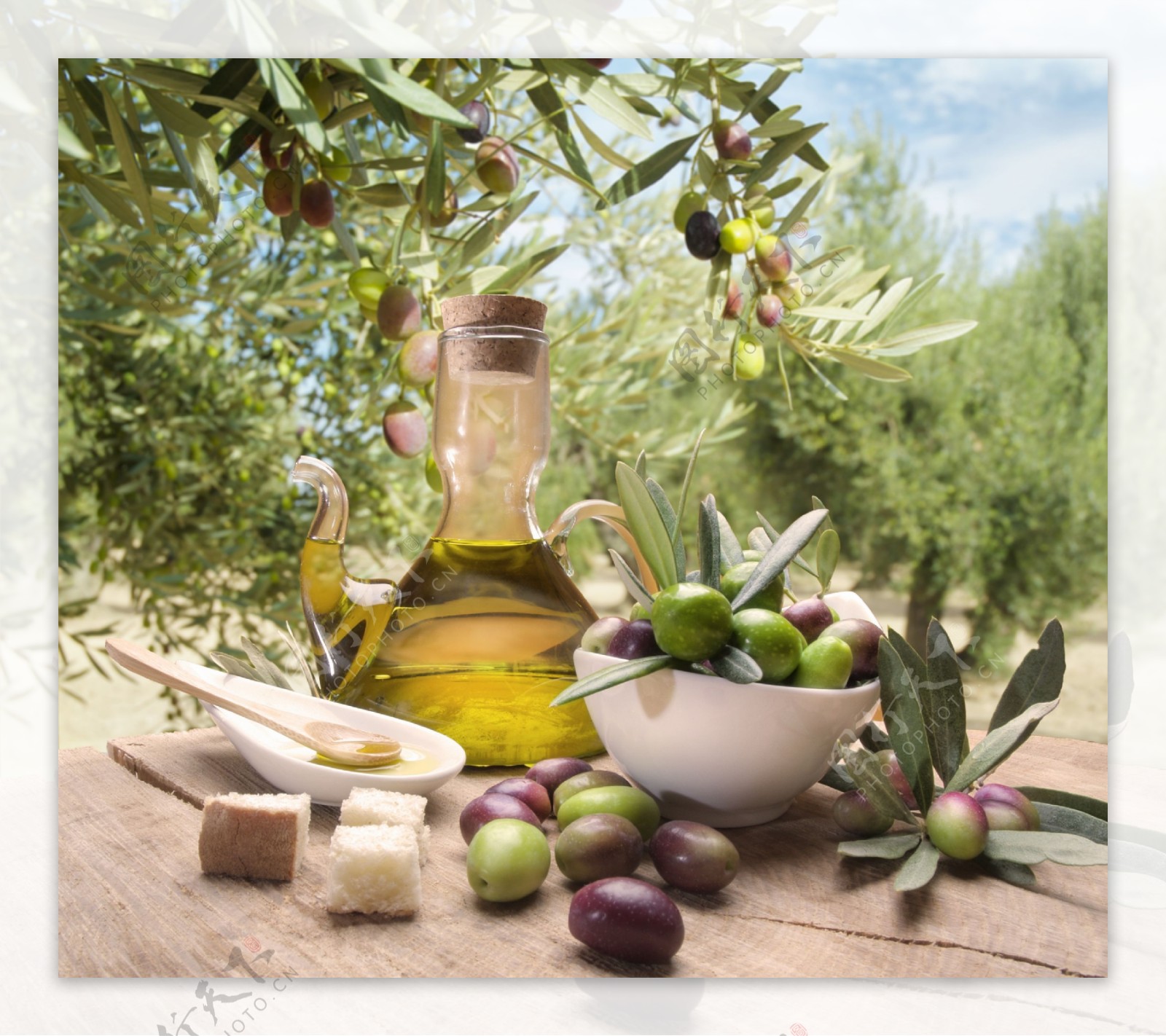 橄榄油与橄榄图片