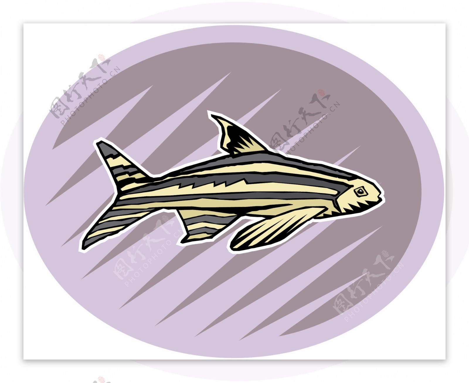 五彩小鱼水生动物矢量素材EPS格式0696