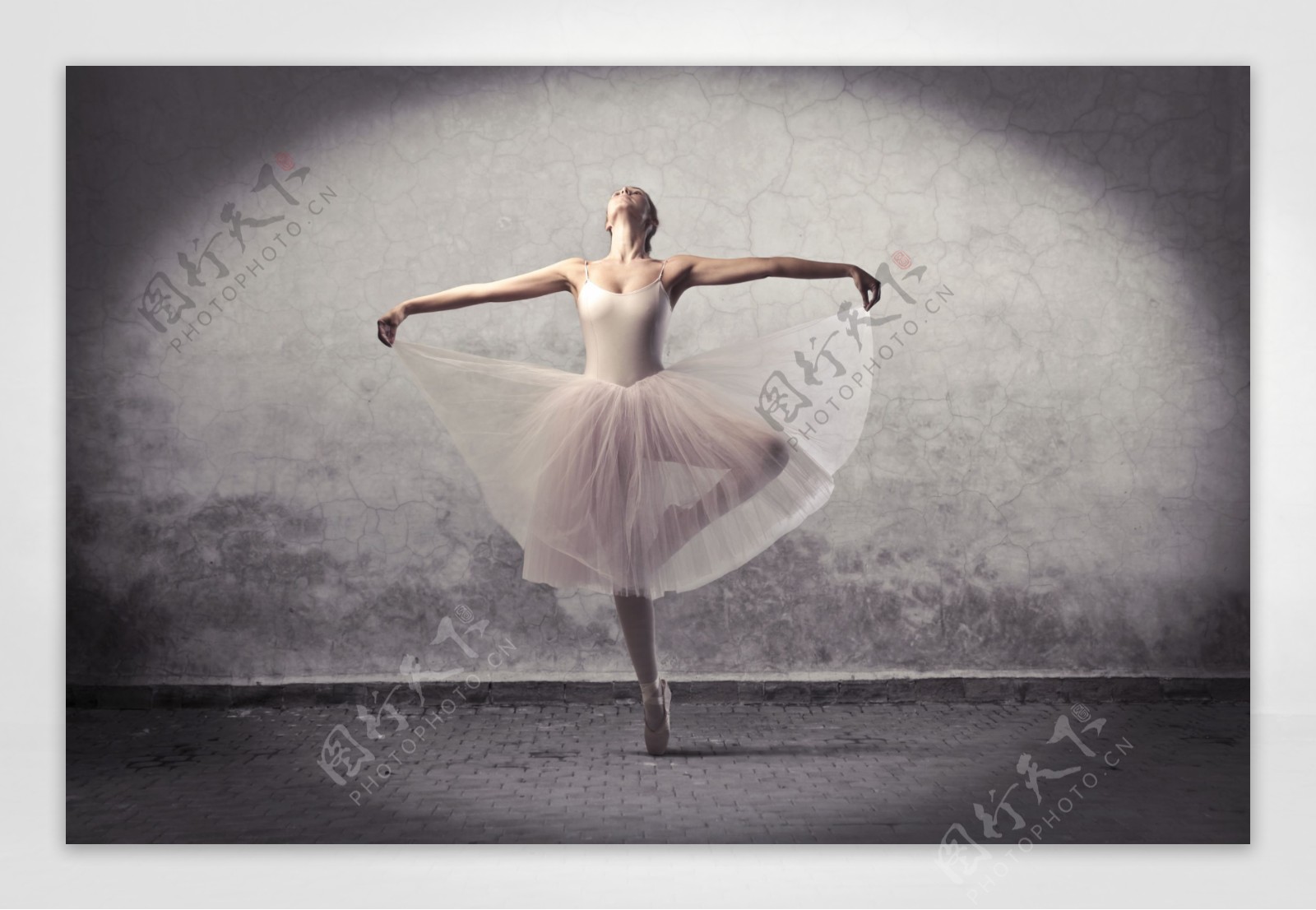 芭蕾舞美女演员图片