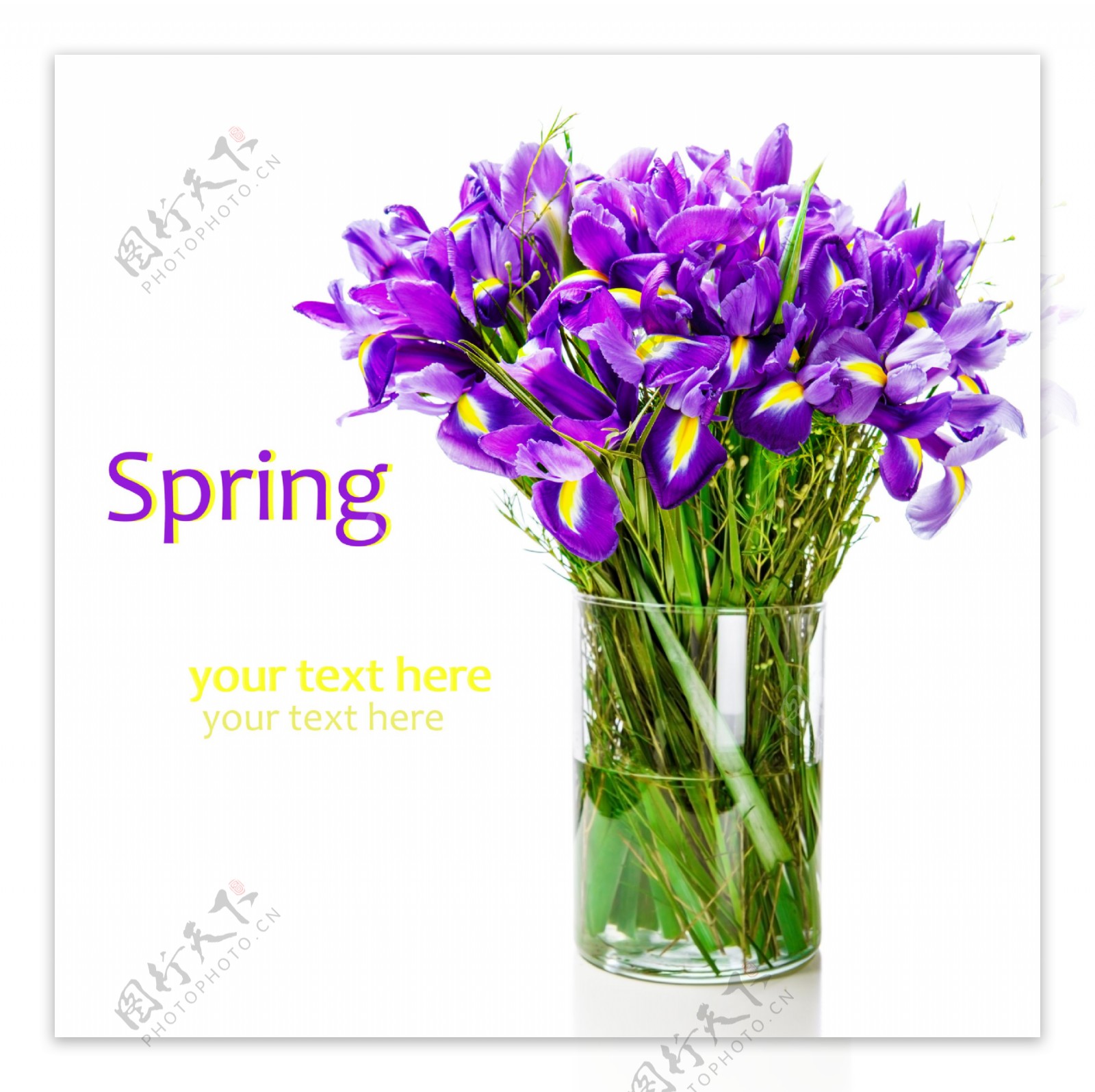 美丽紫色花瓶图片