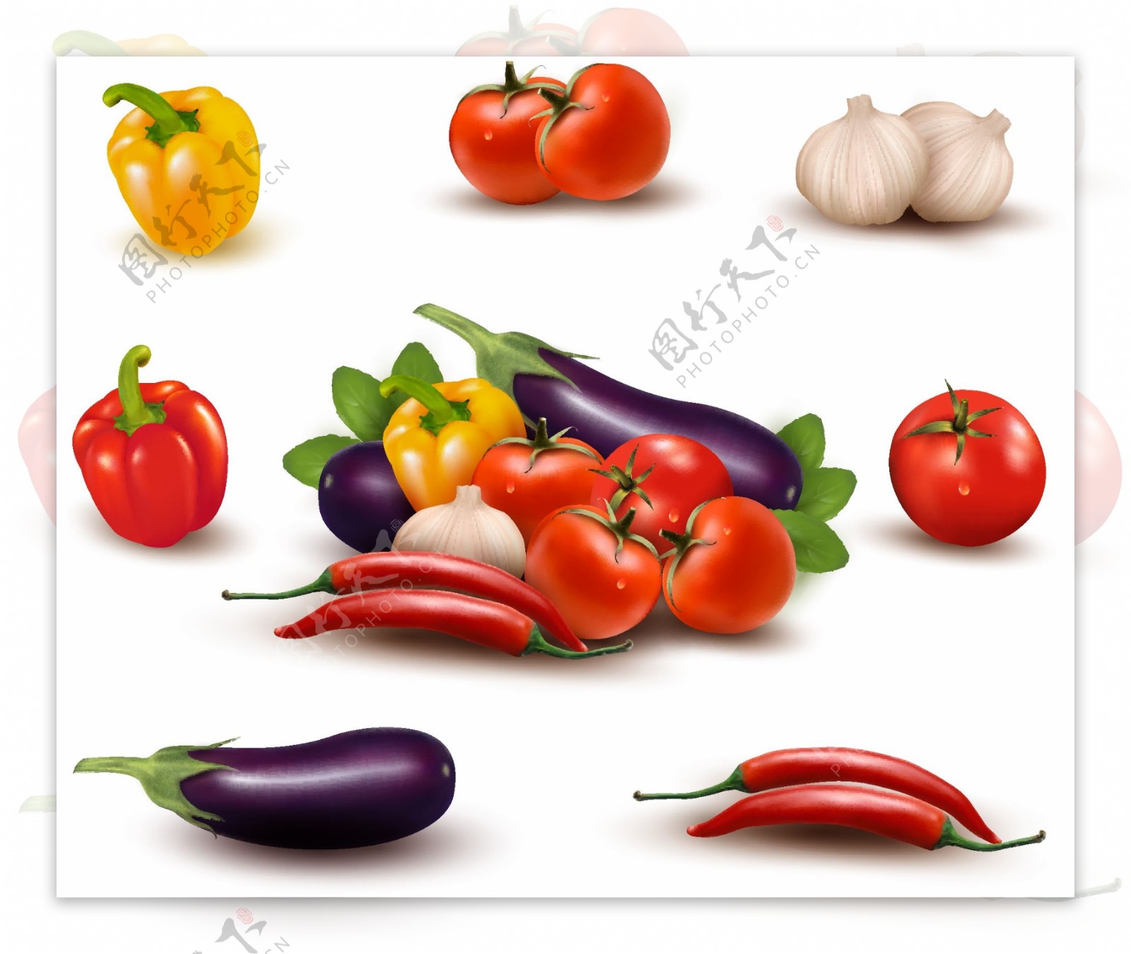 11款新鲜蔬菜设计矢量图