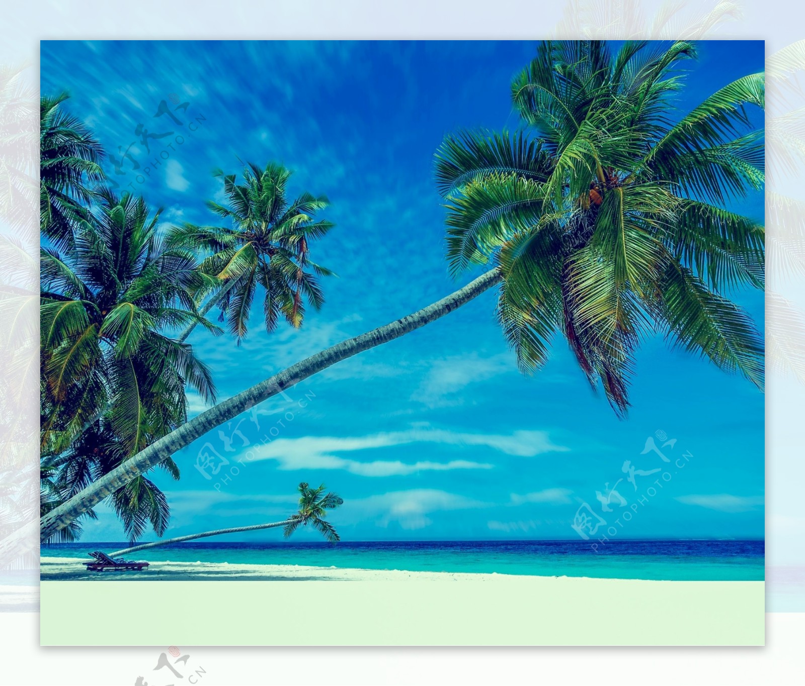 海滩椰树背景图