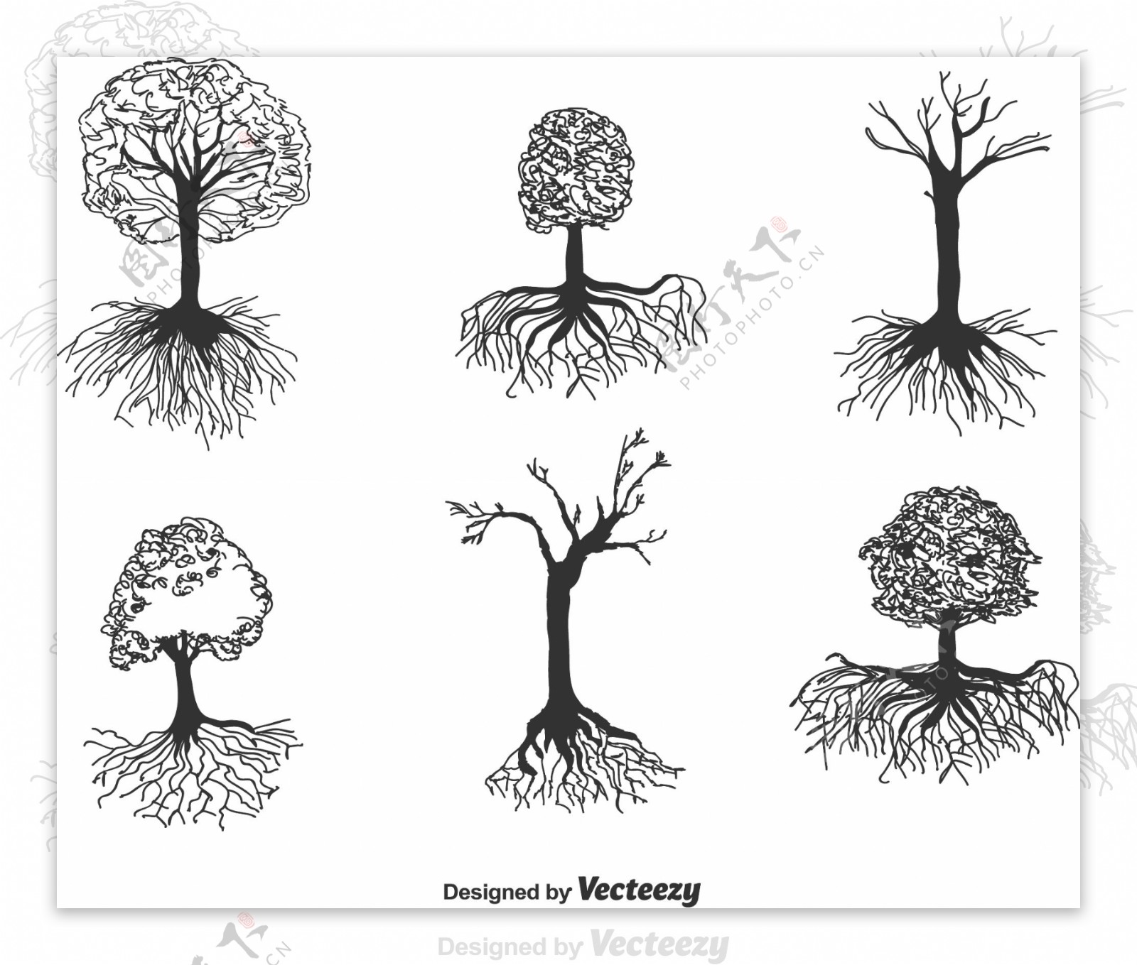 手绘素描树木