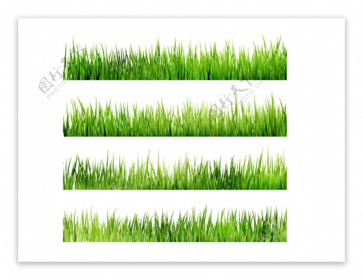 写实绿草边框设计矢量素材