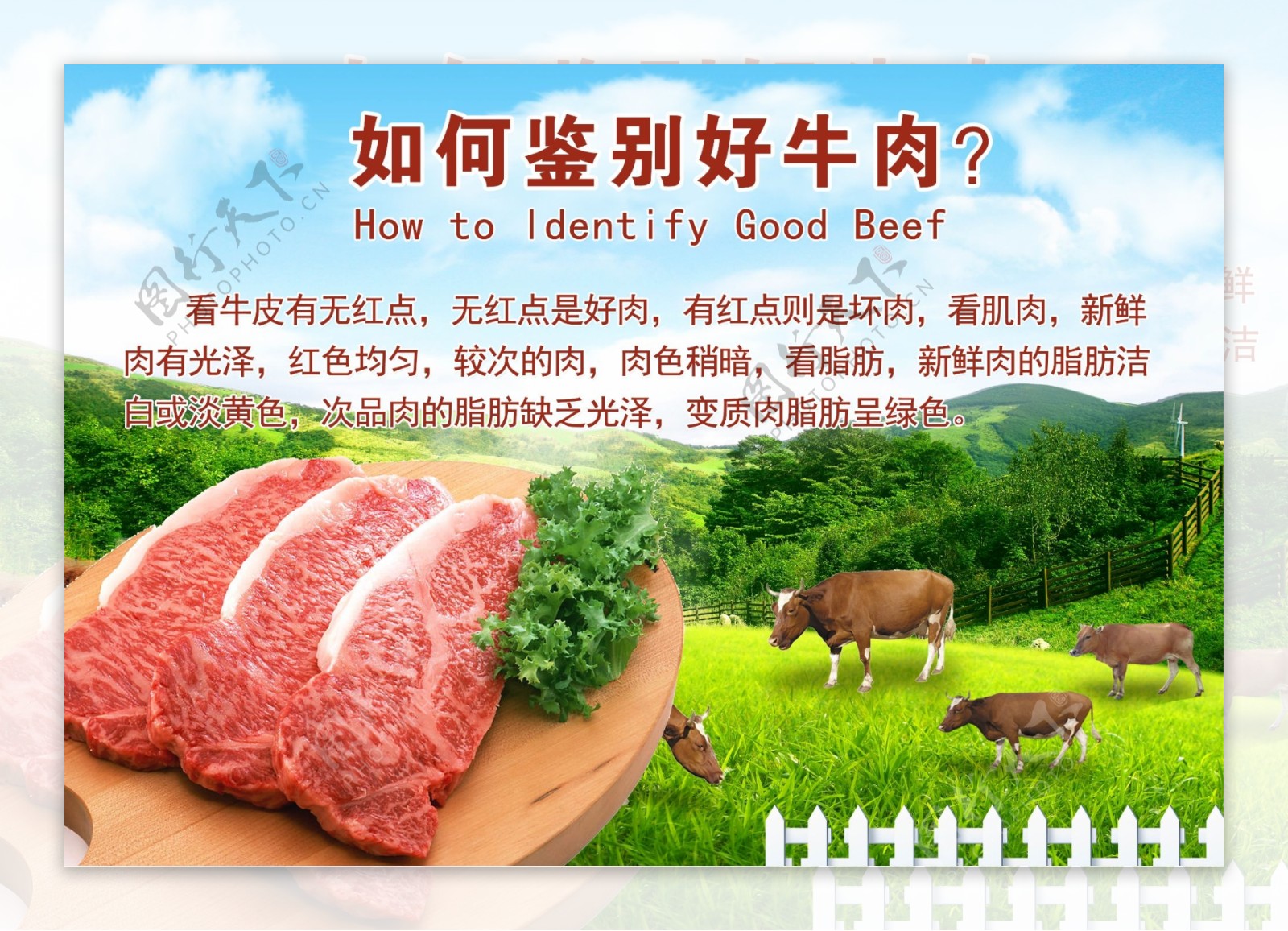 鉴别牛肉