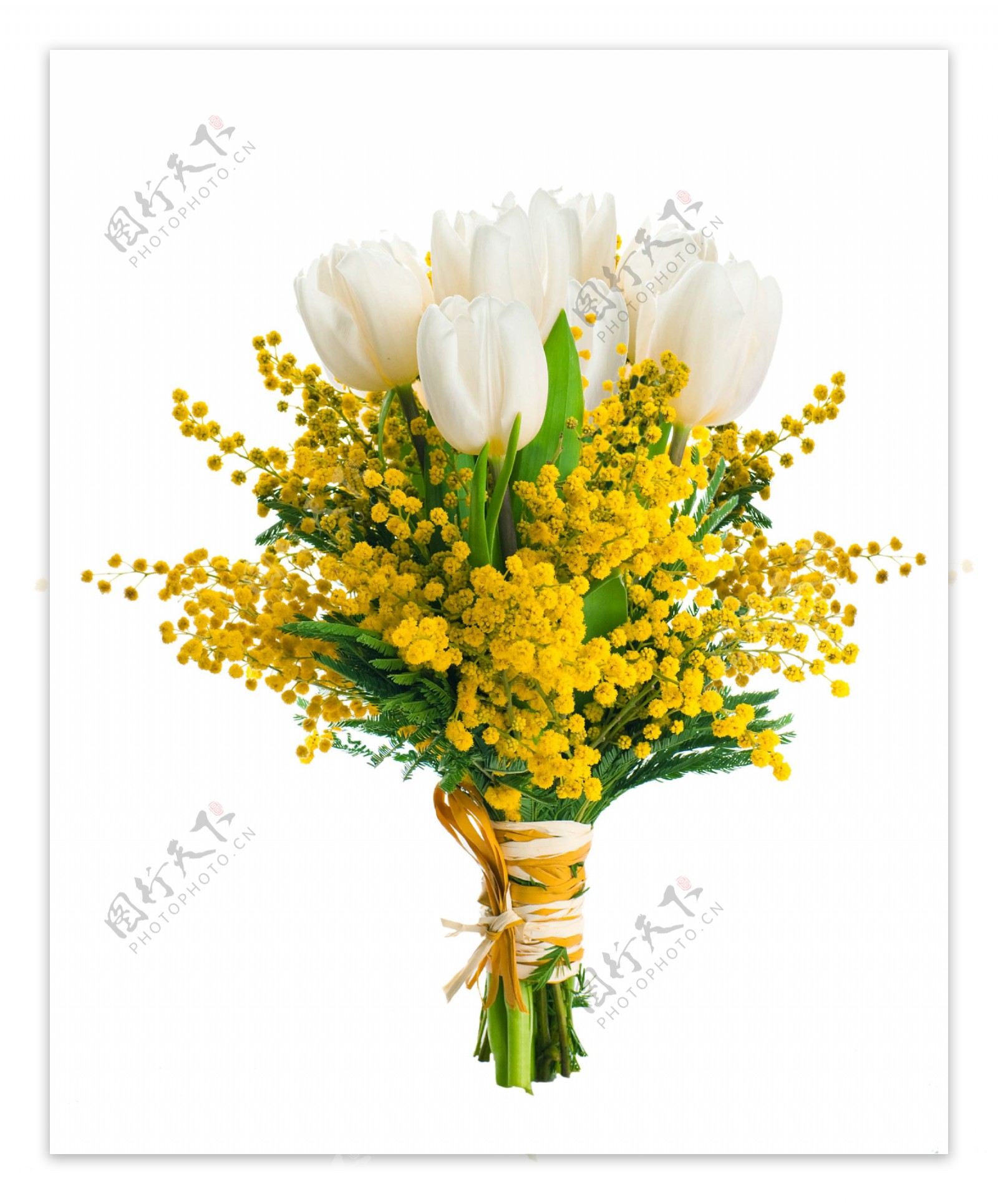黄色白色花束图片