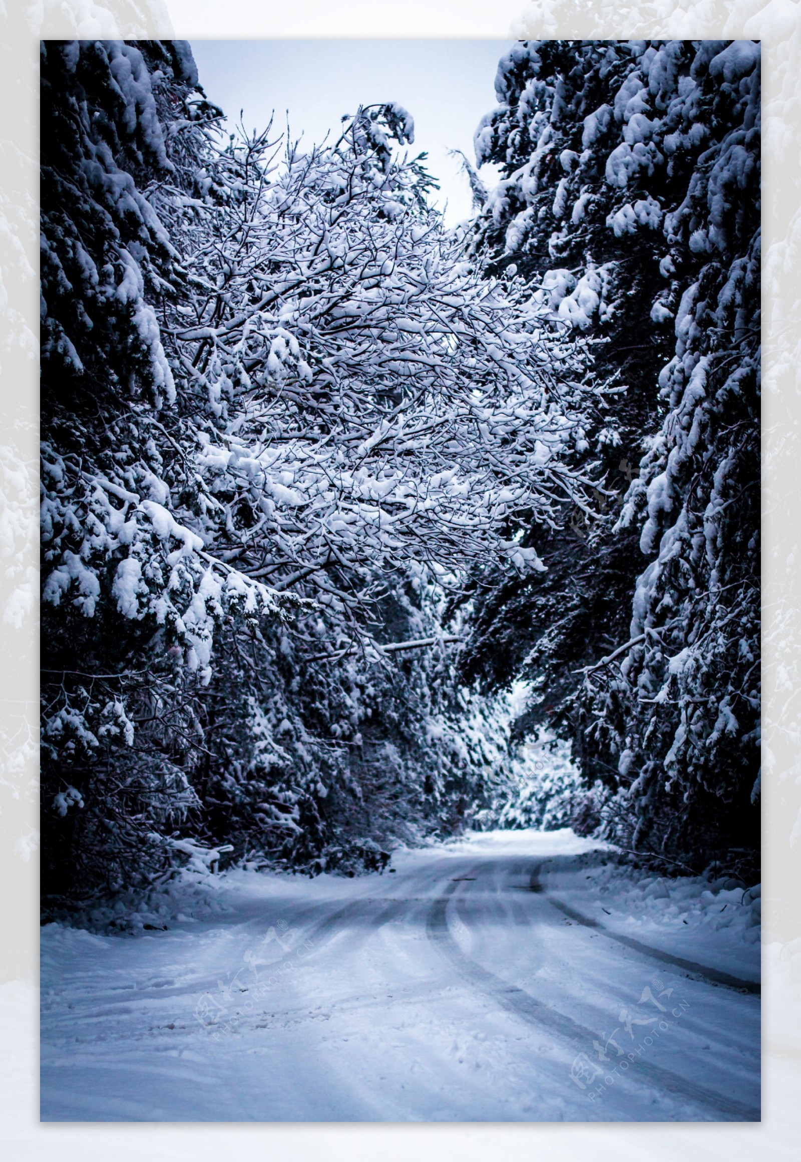 冬天公路雪景图片