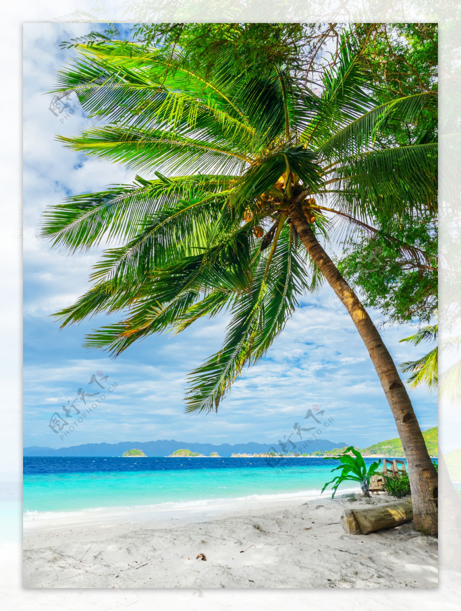 手绘卡通沙滩椰树风景插画图片素材-编号10835517-图行天下