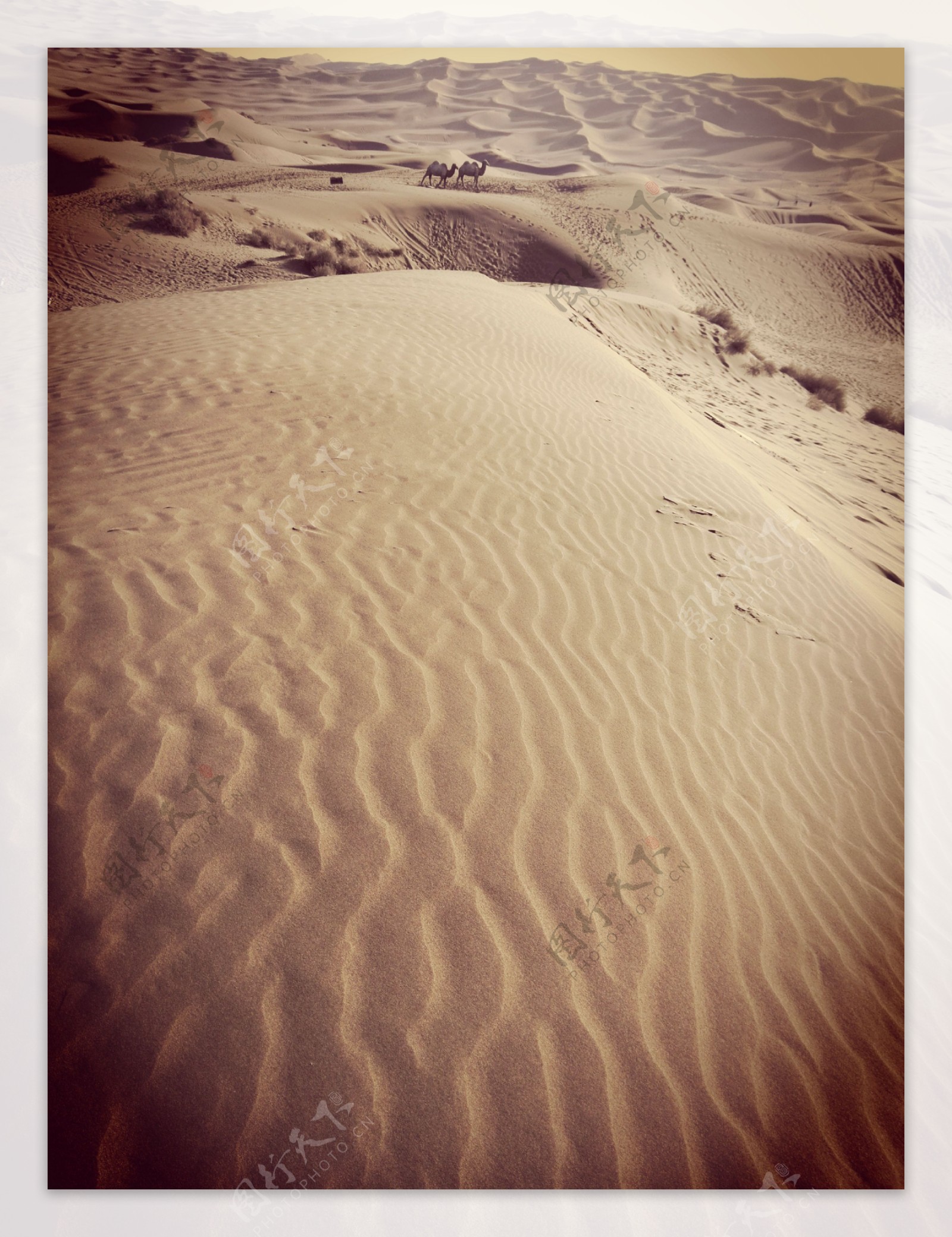 唯美新疆沙漠风景图片