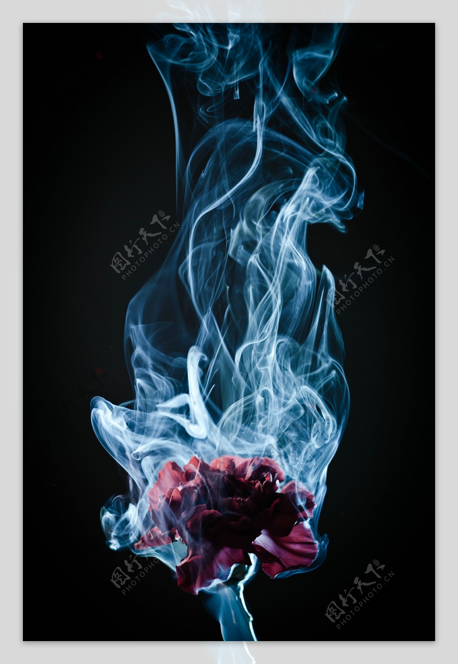 烟雾与花朵图片