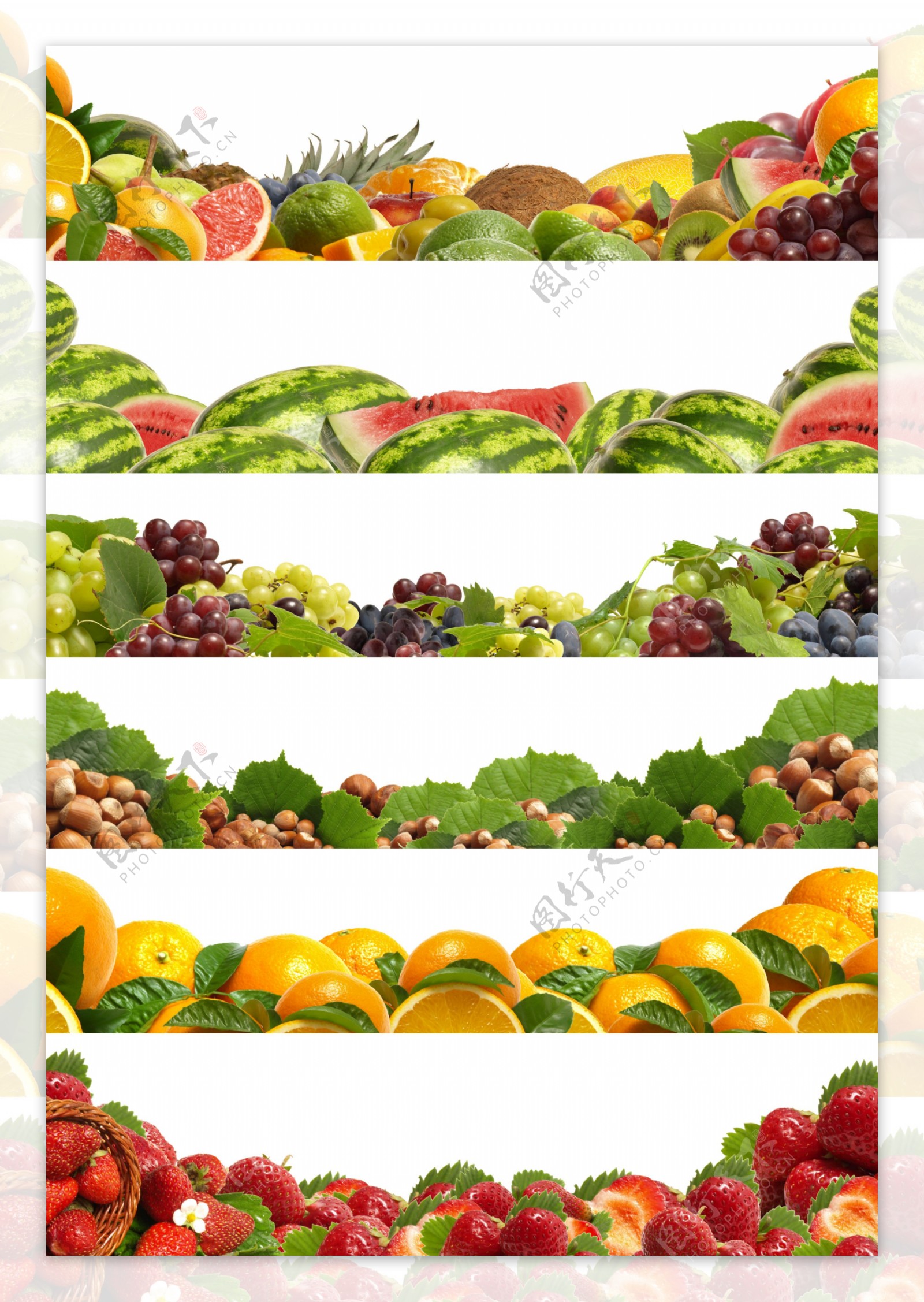 水果蔬菜大集合图片