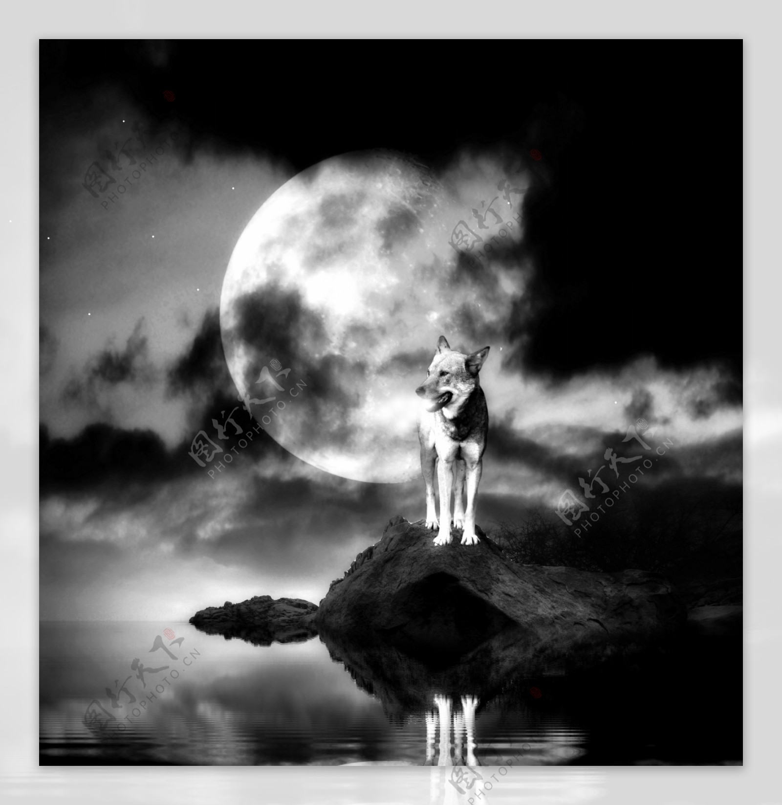 月光与狼