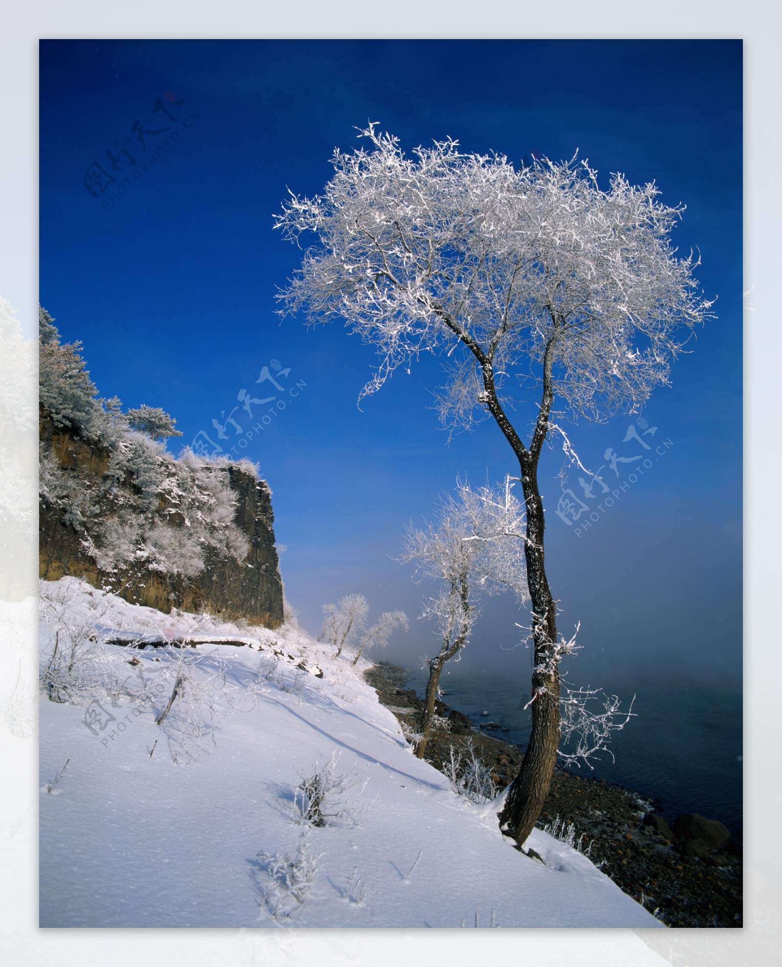 雪景摄影