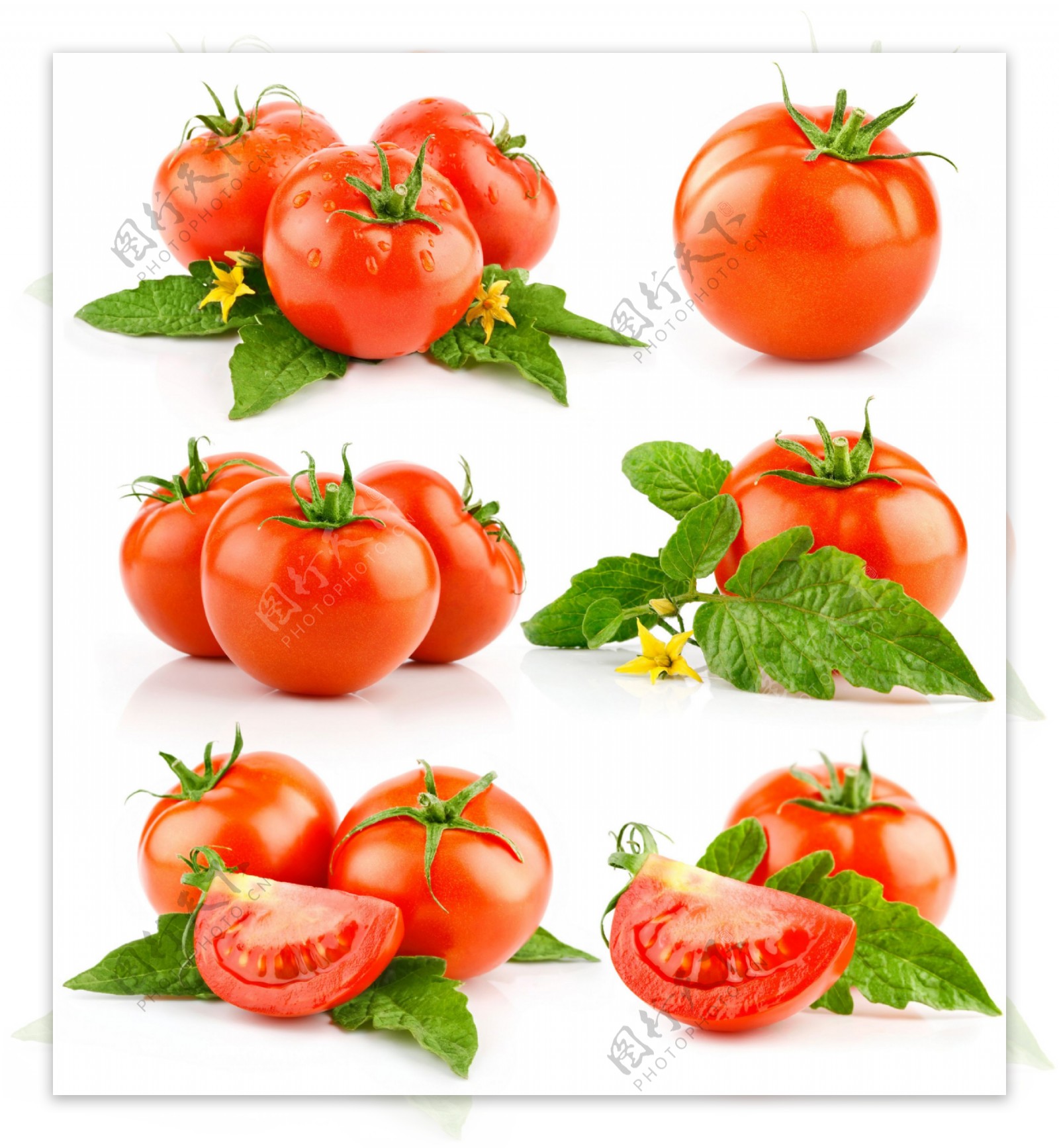 红色西红柿与叶子图片