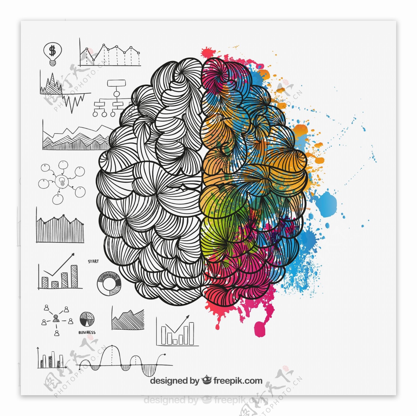 彩绘大脑设计矢量素材