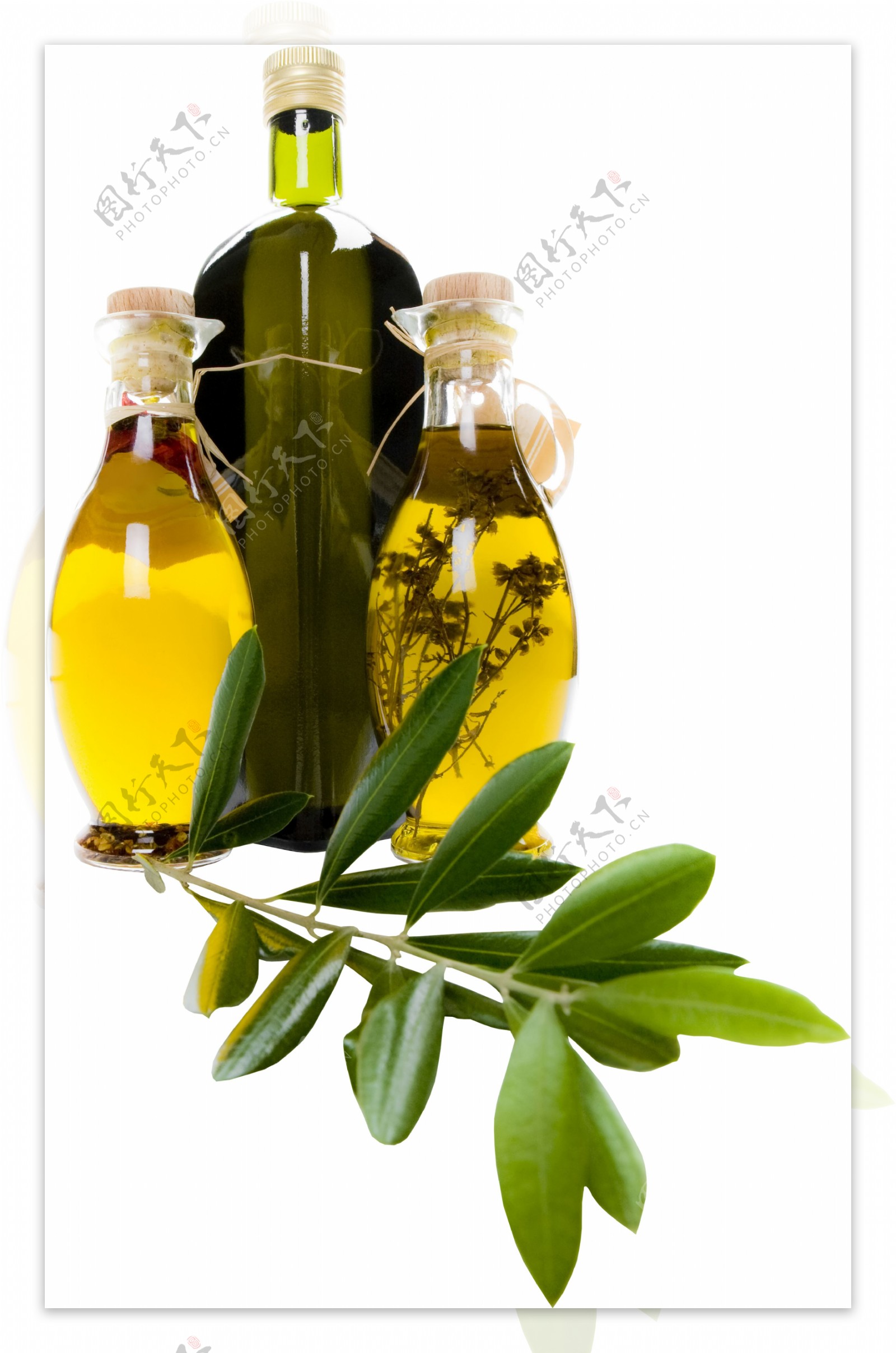 油瓶和树叶图片
