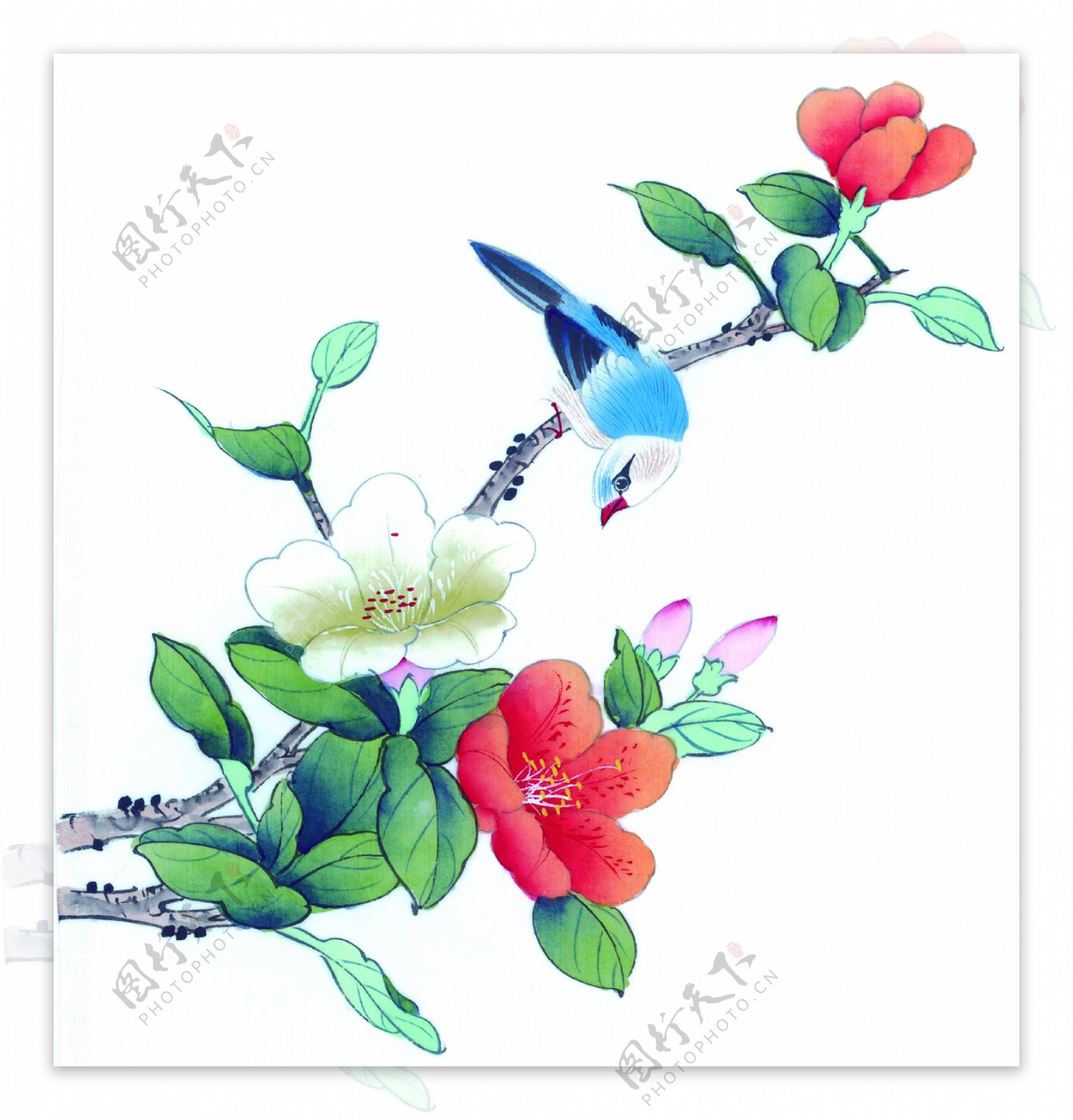 小鸟花卉装饰画图片