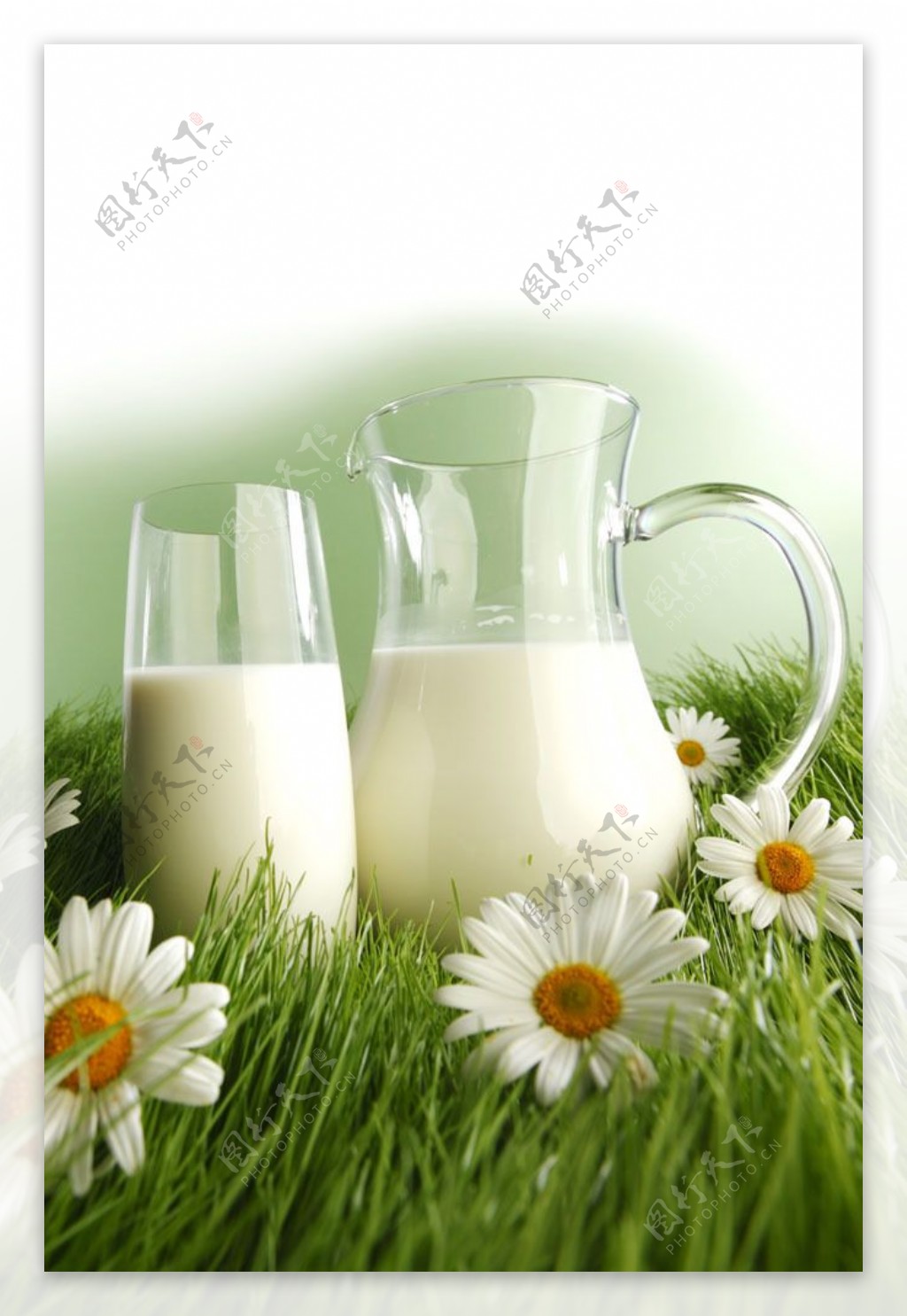 鲜花丛中的牛奶瓶图片