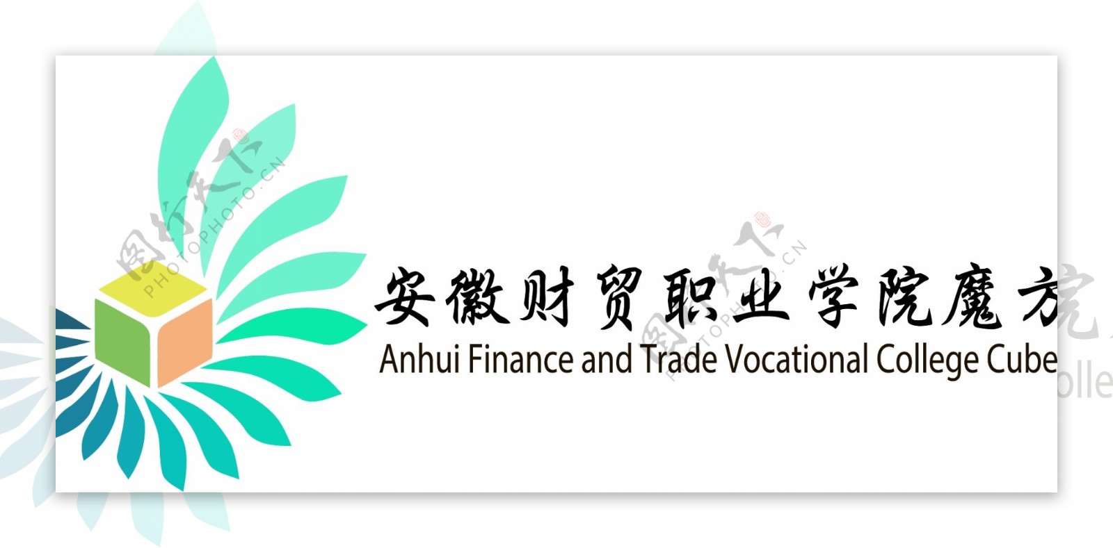安财贸魔方协会logo