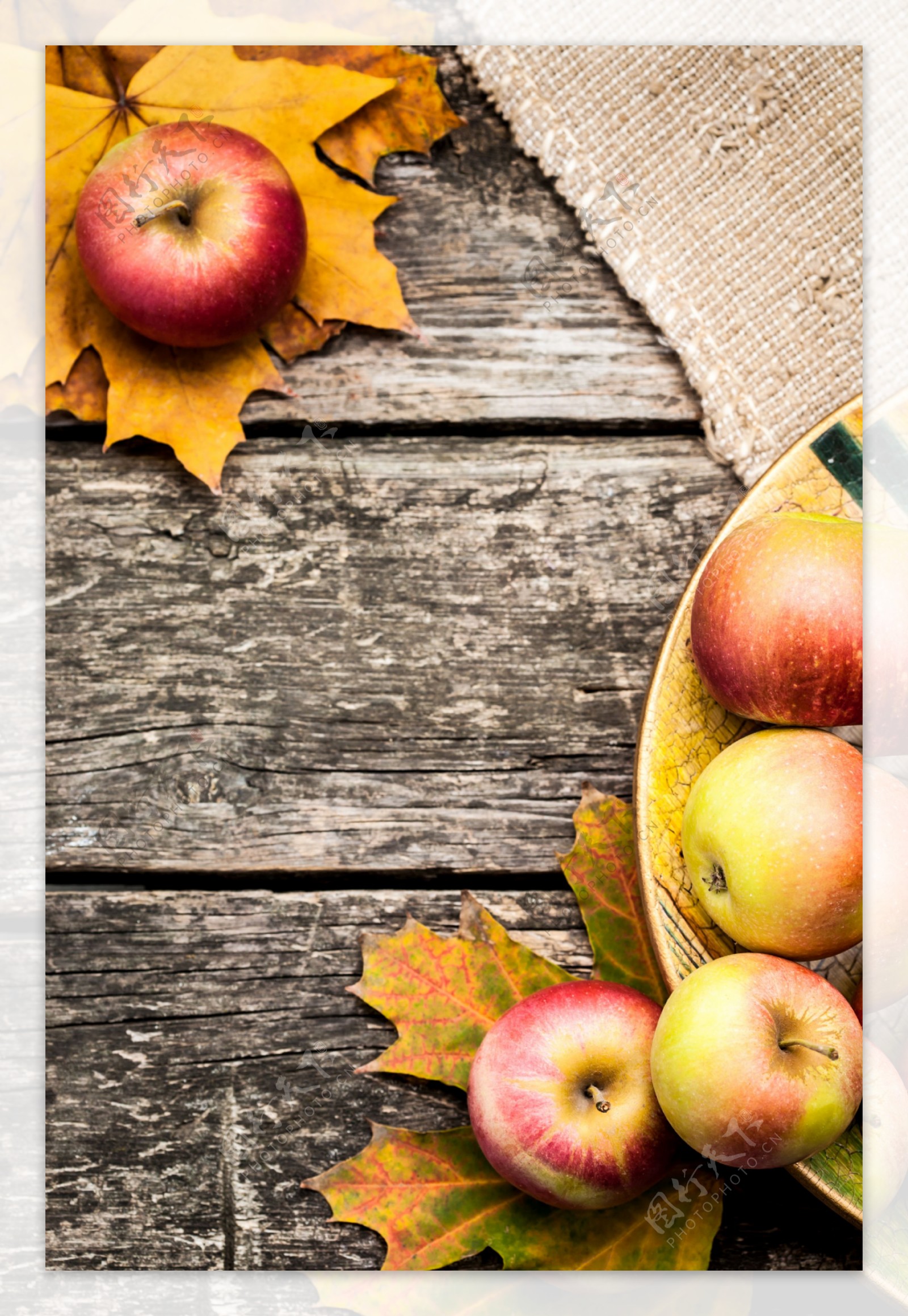 秋天的苹果与树叶图片