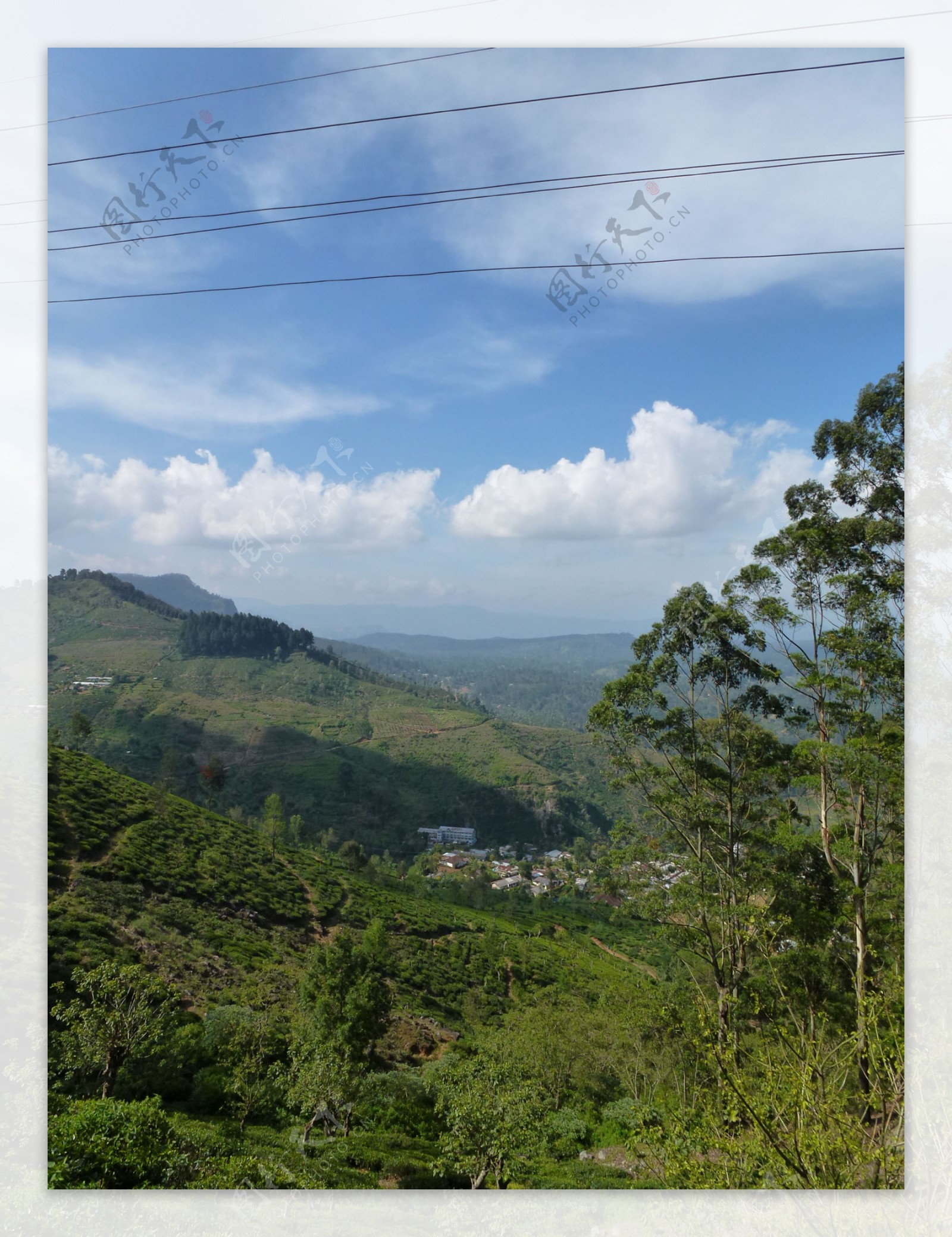 斯里兰卡热带雨林图片